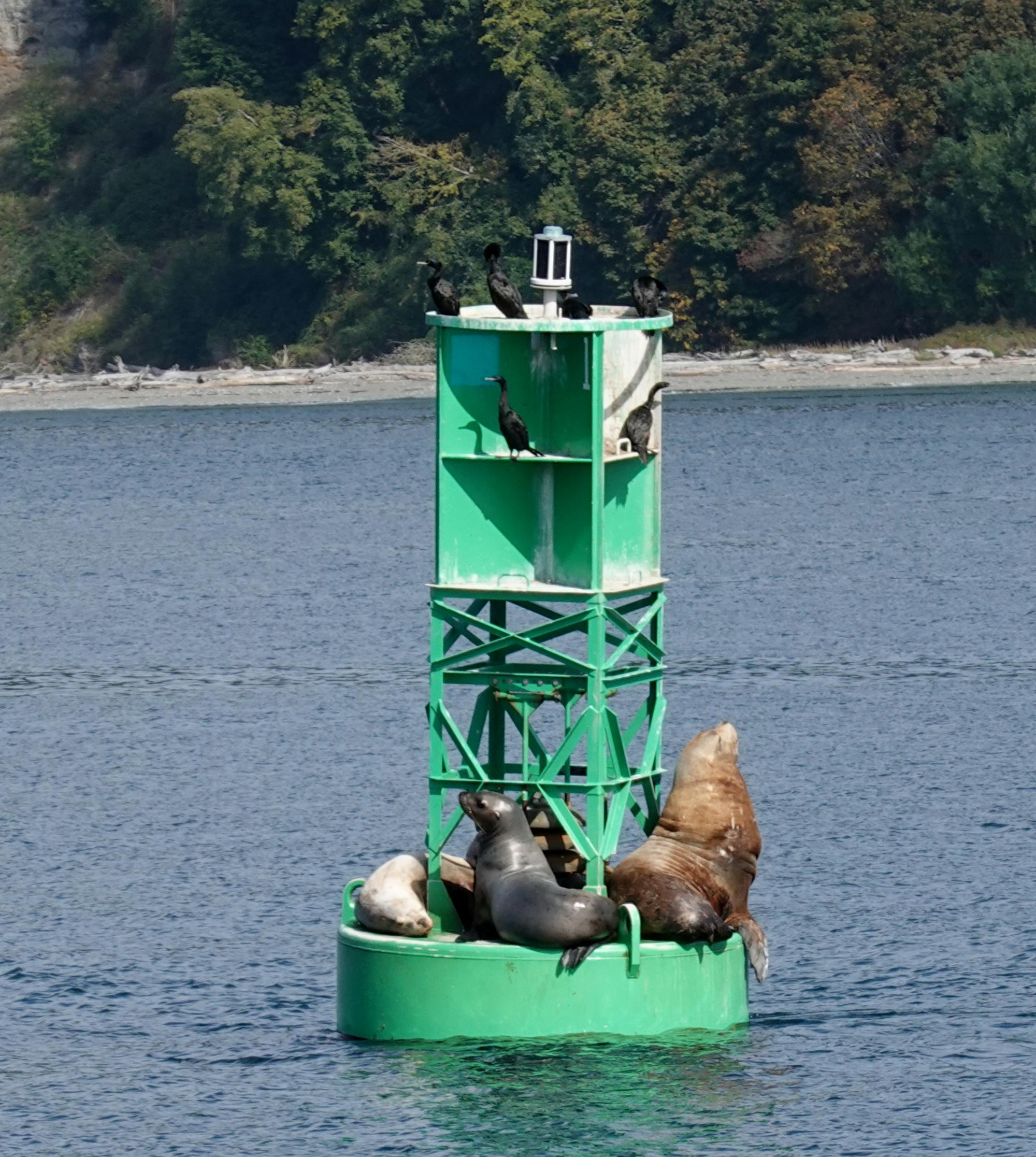 Seattle (2020-Present) - Tight Space