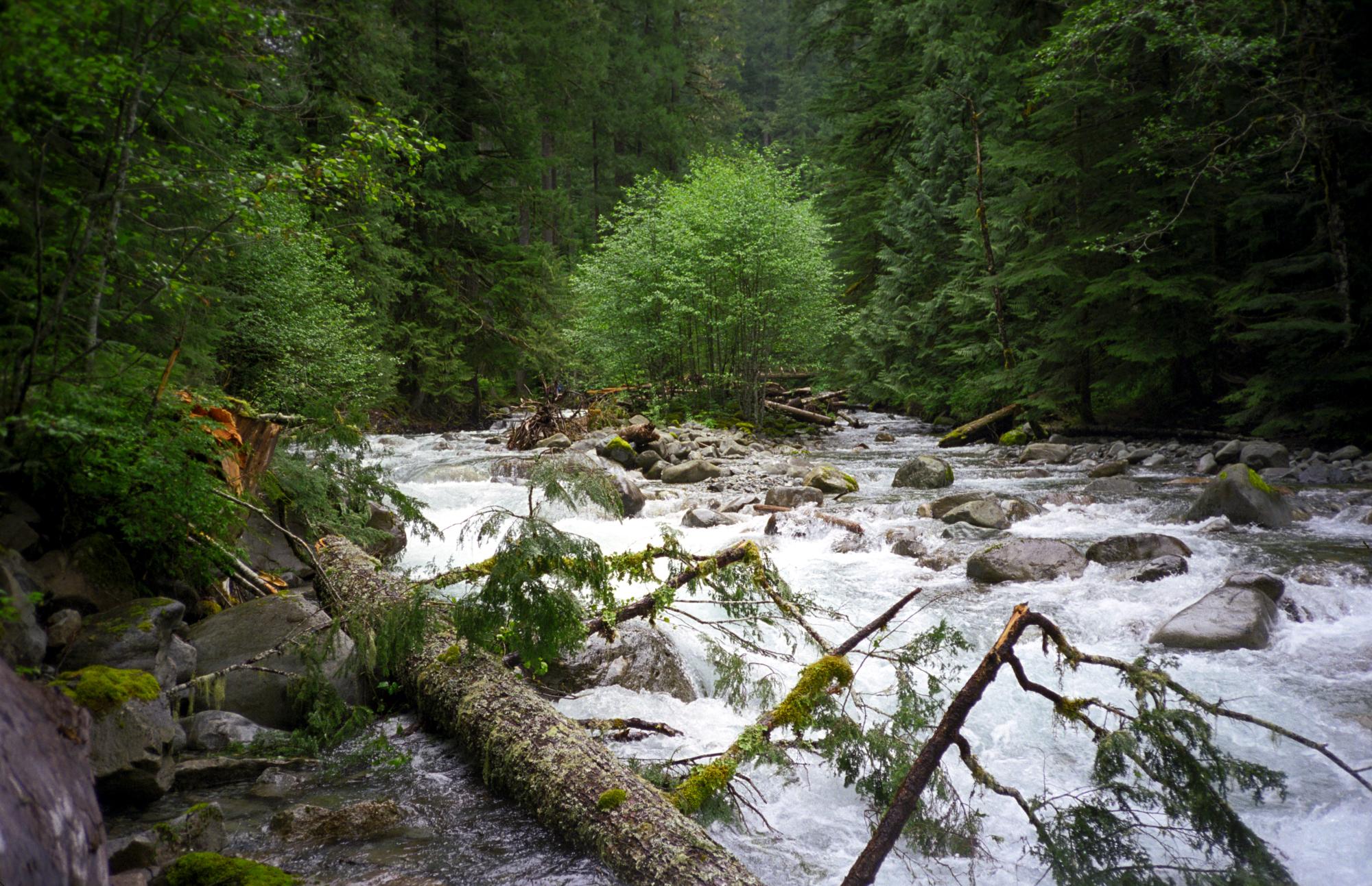 Western Washington - Troublesome Creek