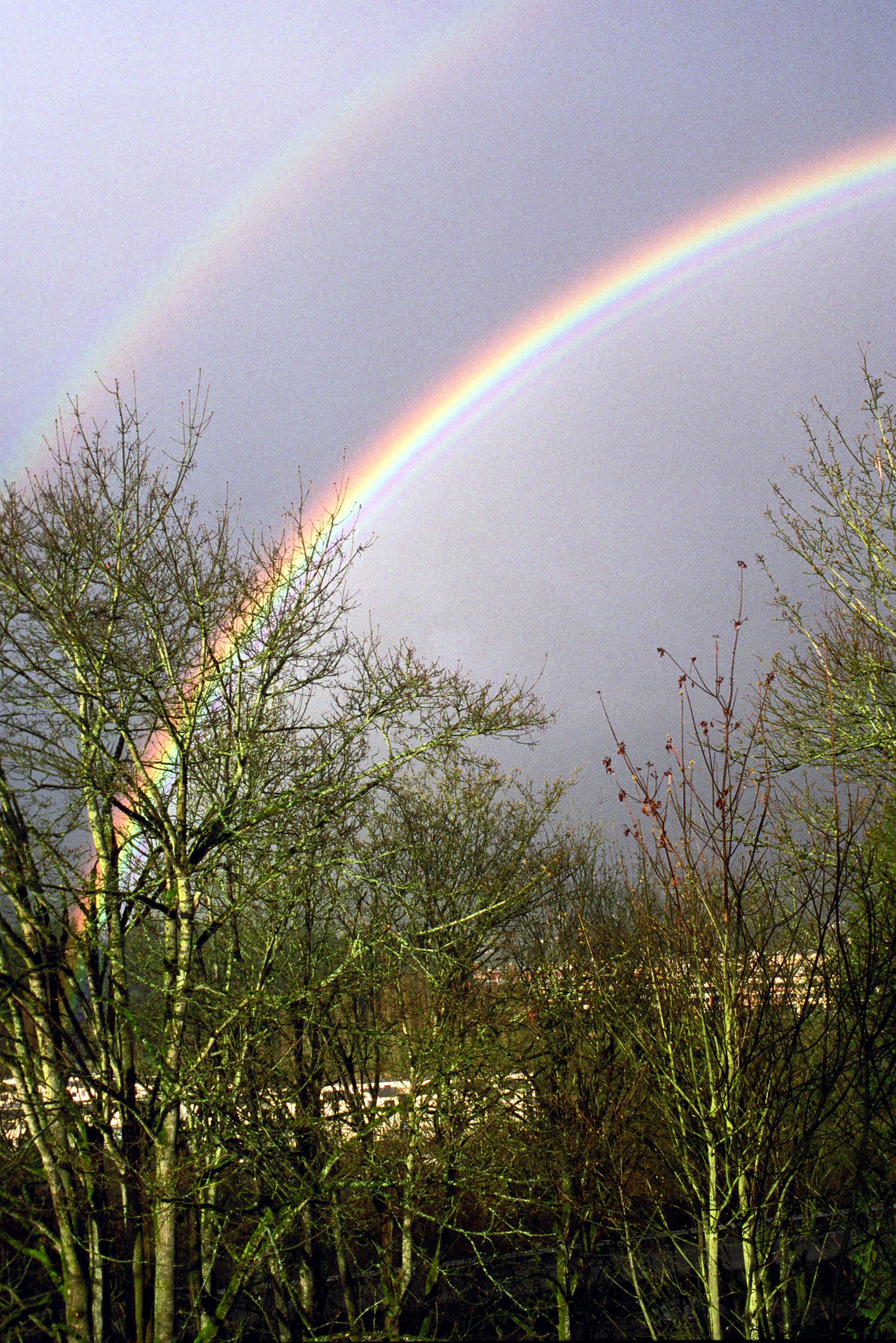 Western Washington - Rainbow