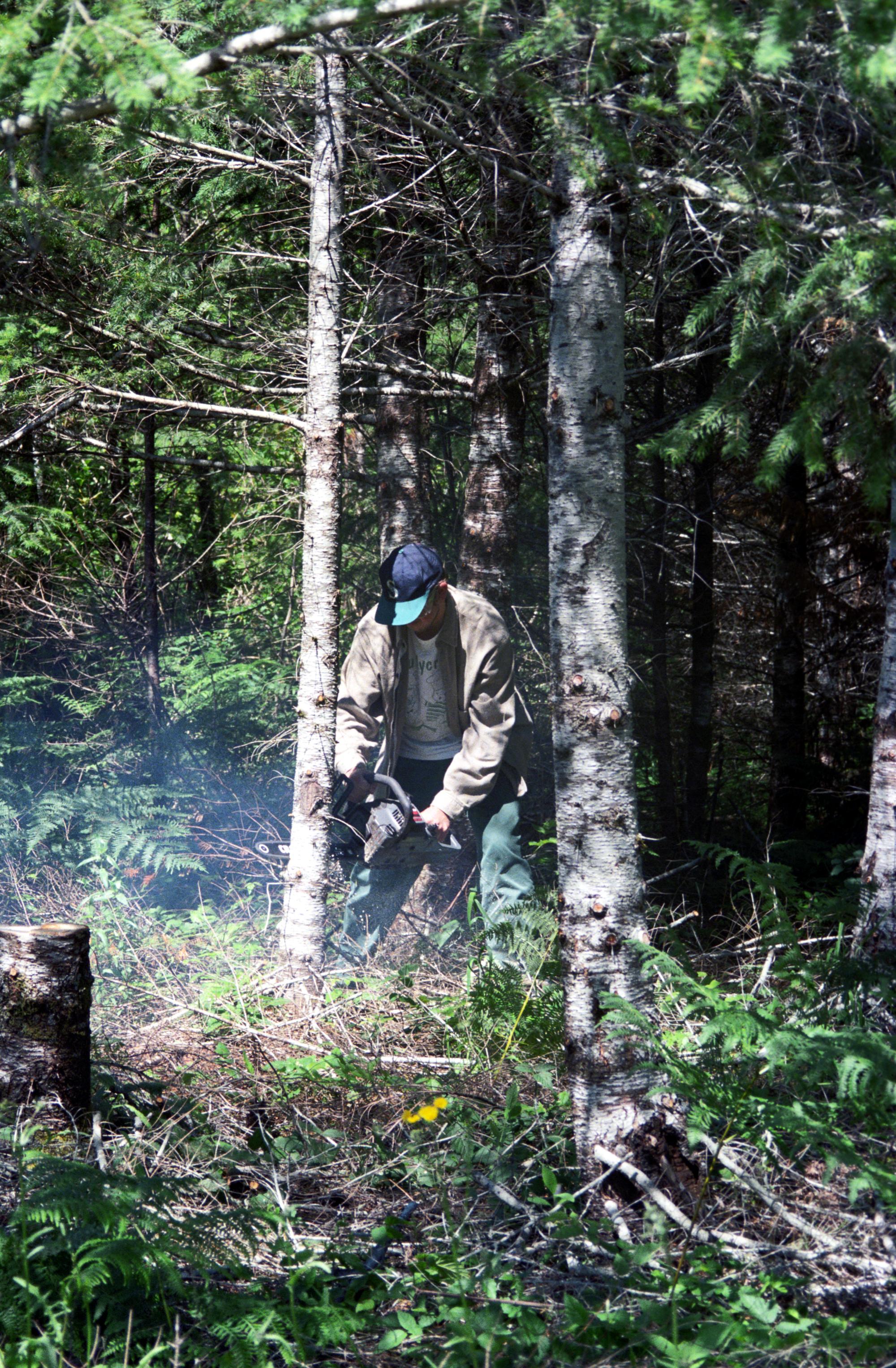 Western Washington - Sawing Logs #2