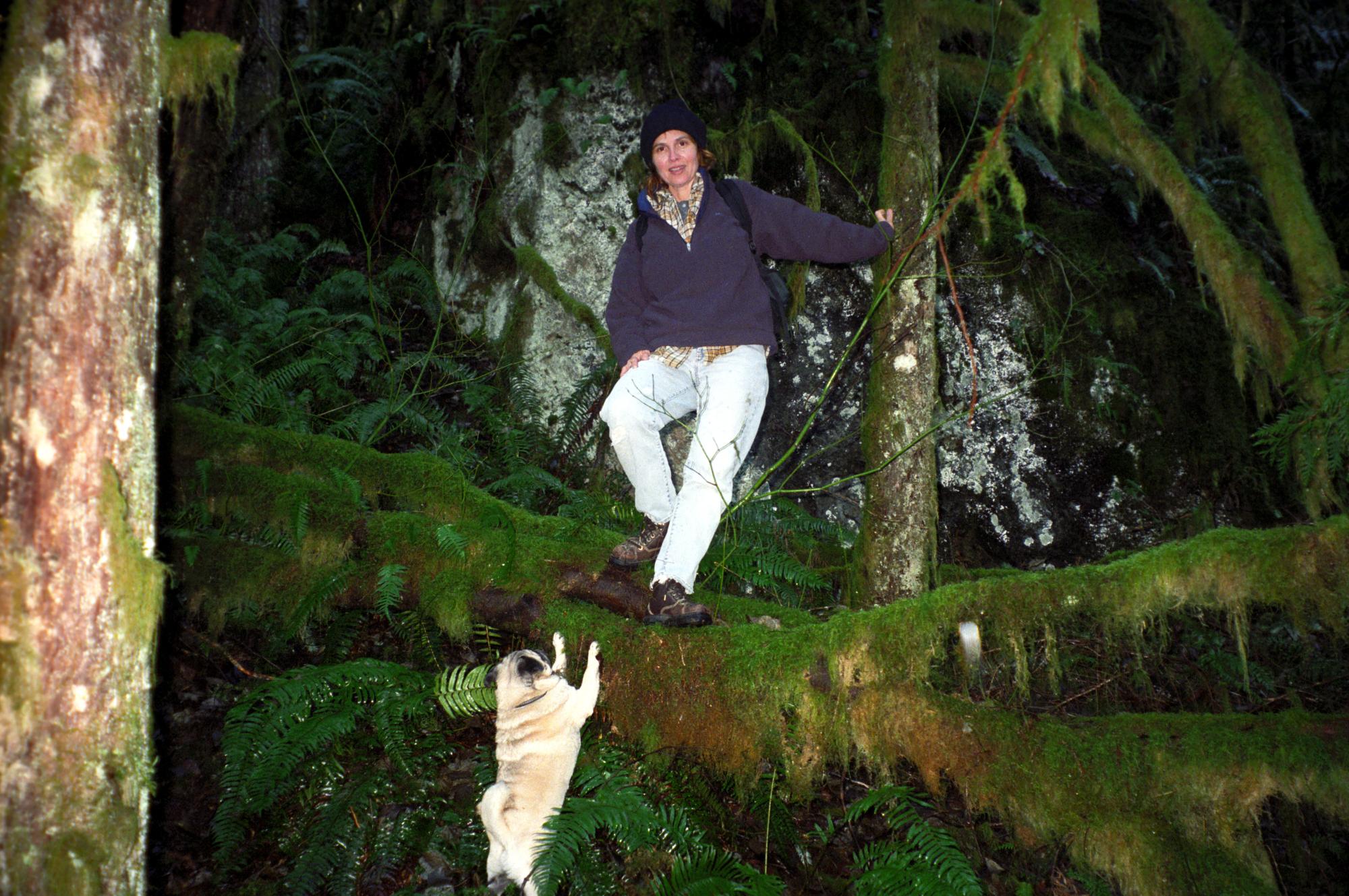 Western Washington - Cascade Hike