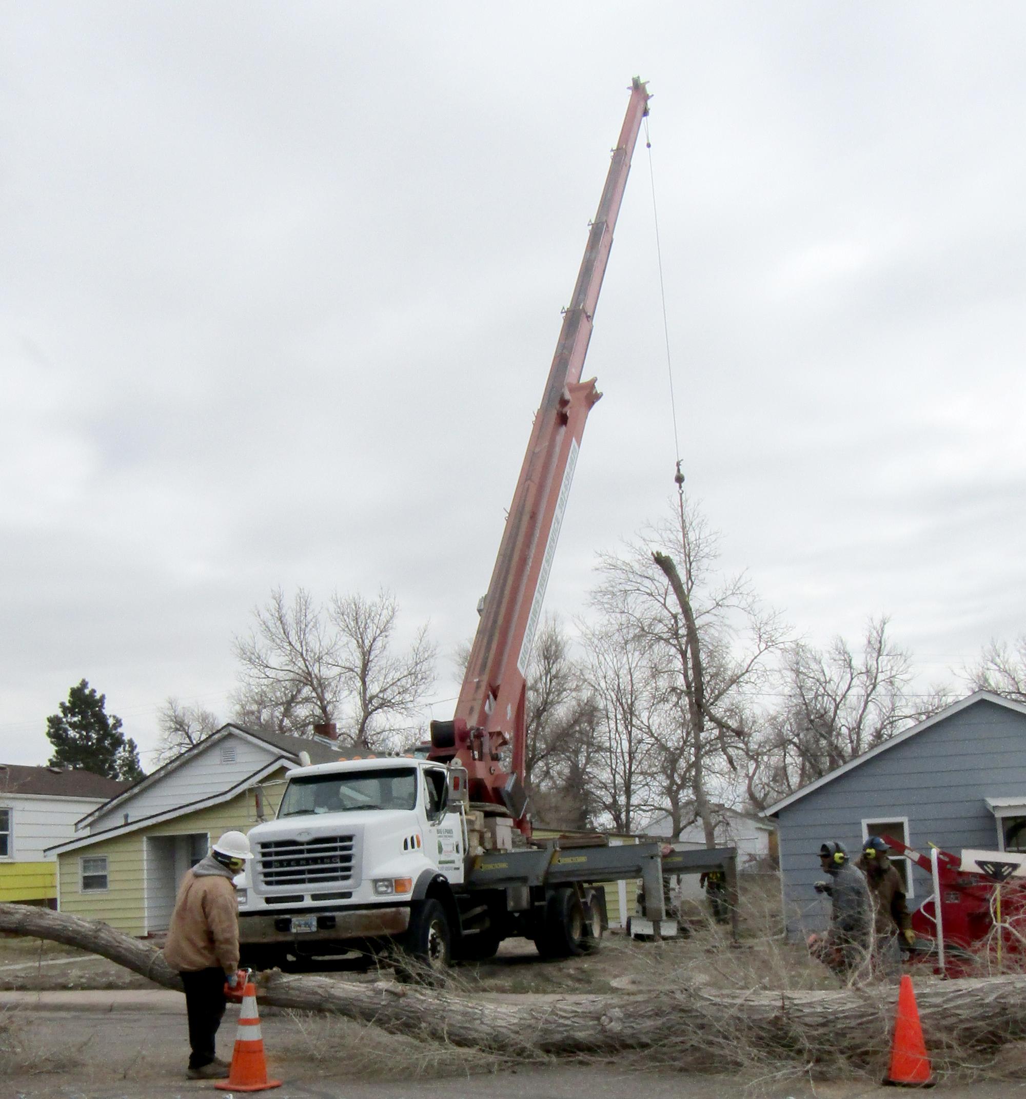 Cheyenne (2018-2021) - Limb Removal