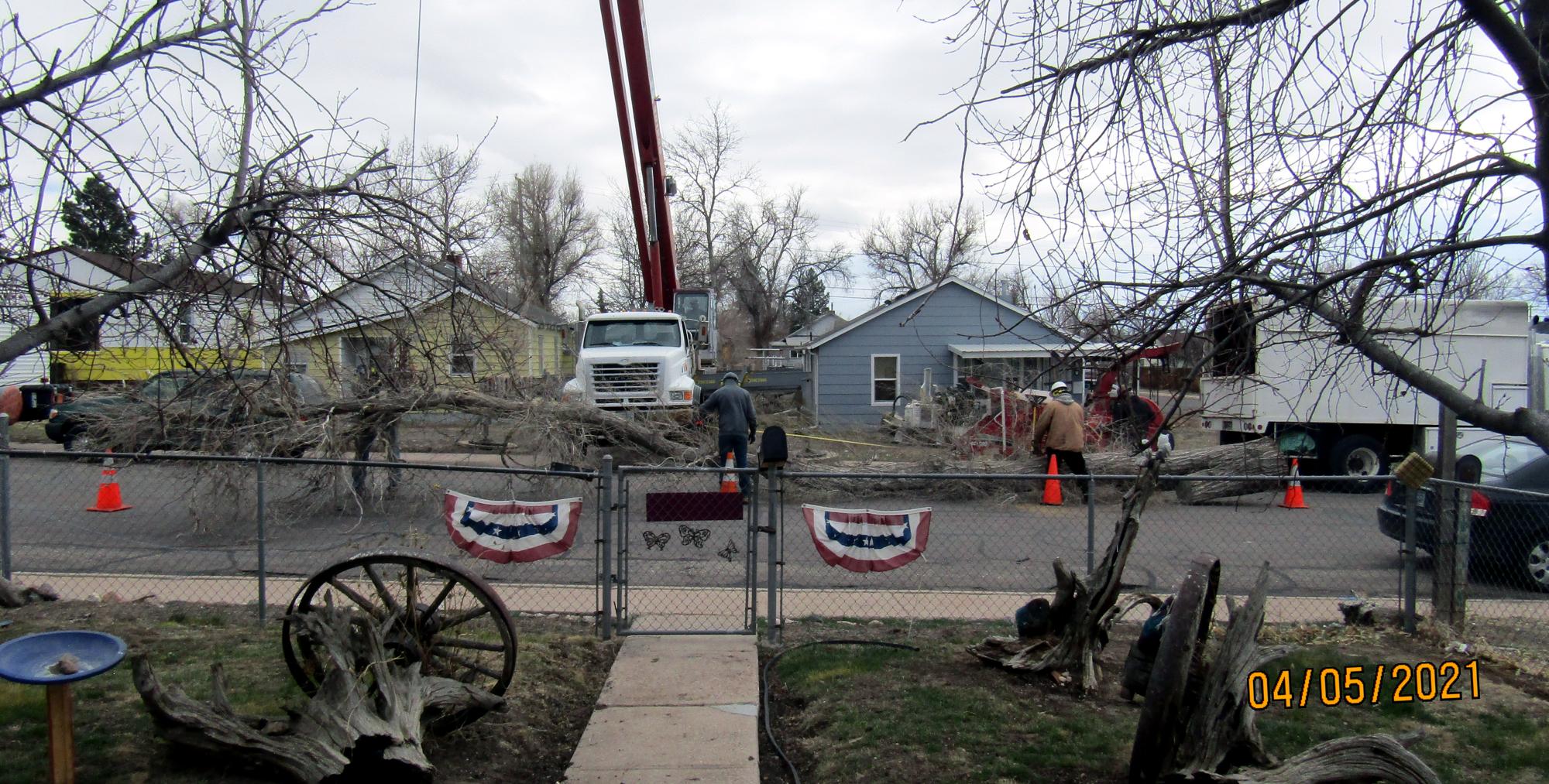 Cheyenne (2018-2021) - Tree Removal