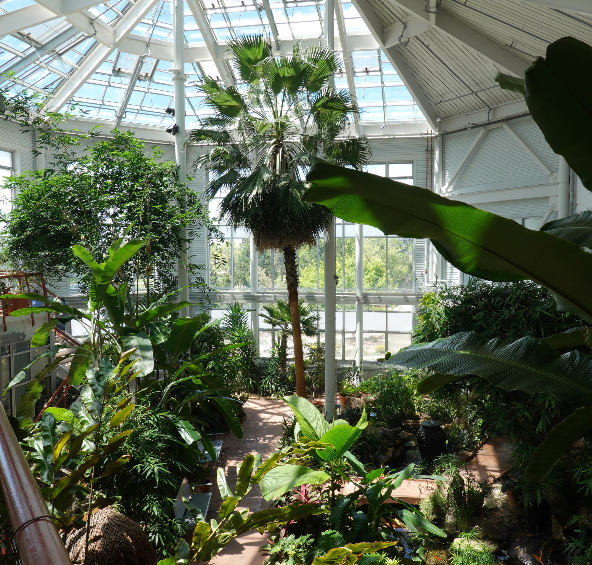 Cheyenne (2018-2021) - Botanic Gardens Interior