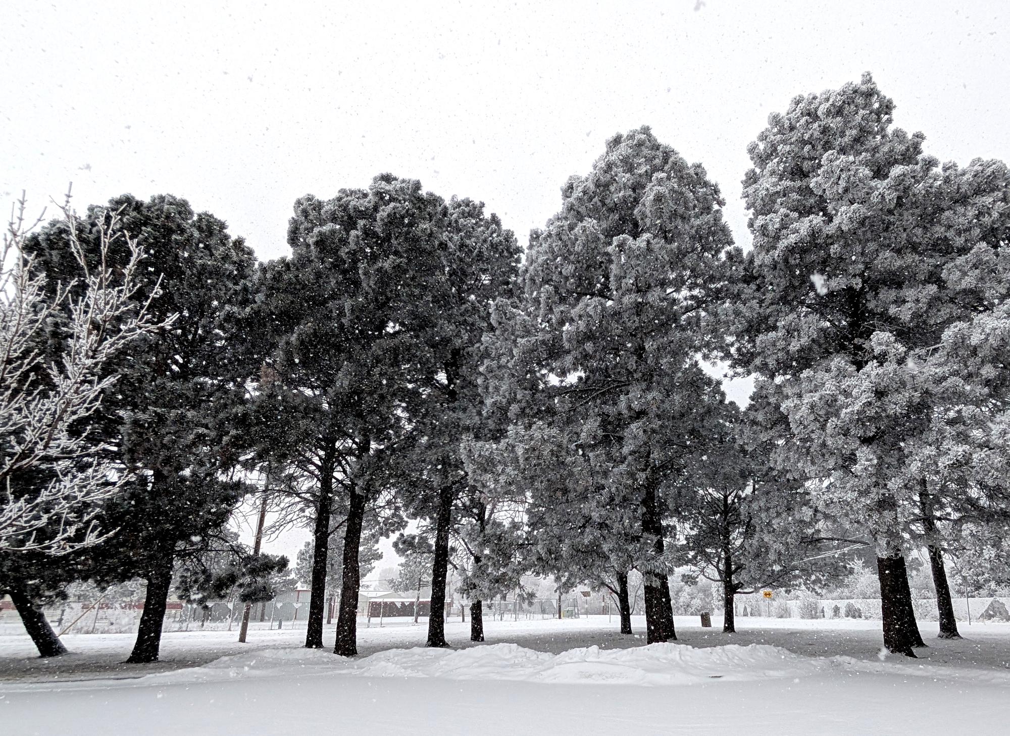 Cheyenne (2022-Present) - Winter Snow #2