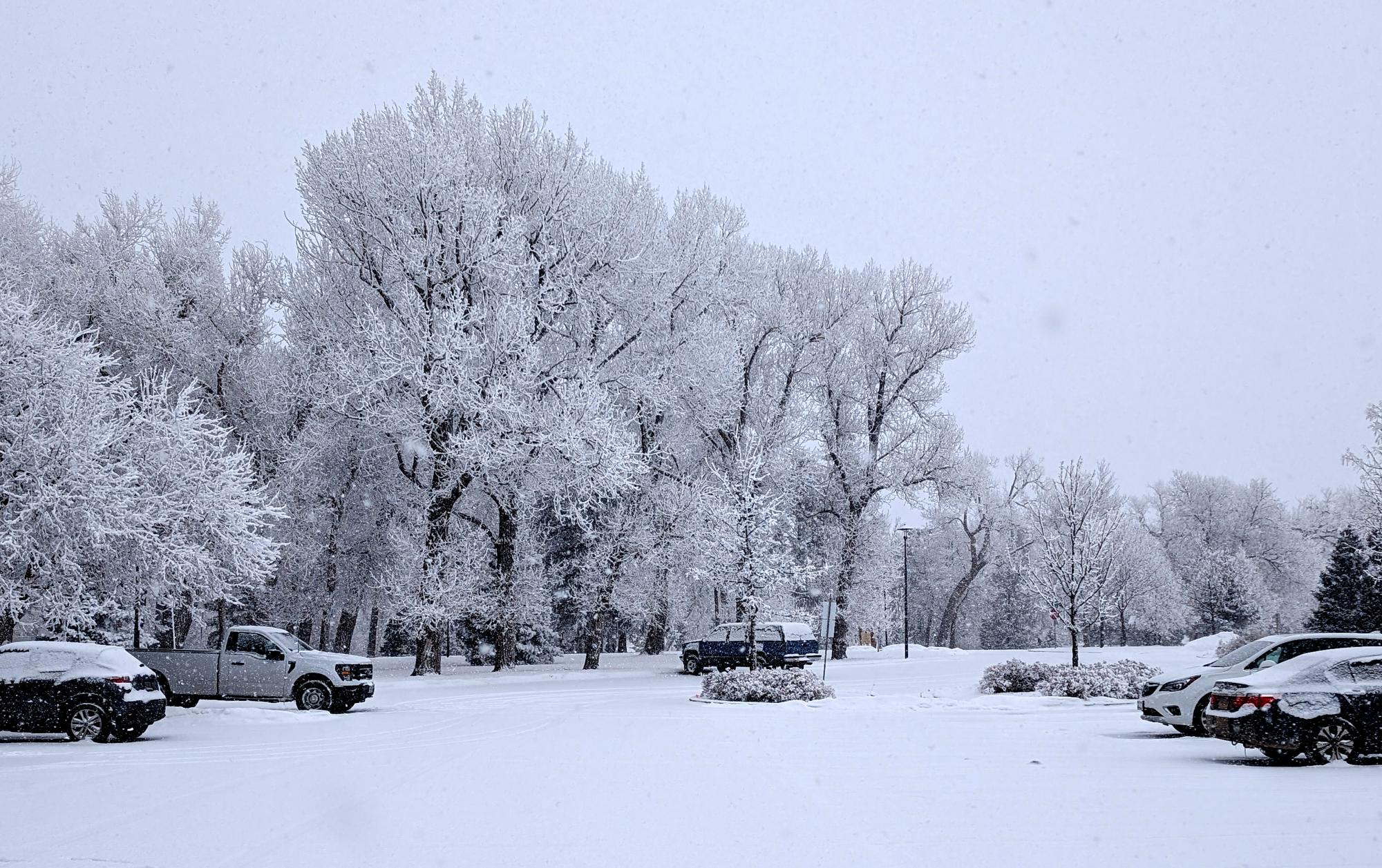 Cheyenne (2022-Present) - Winter Snow #3