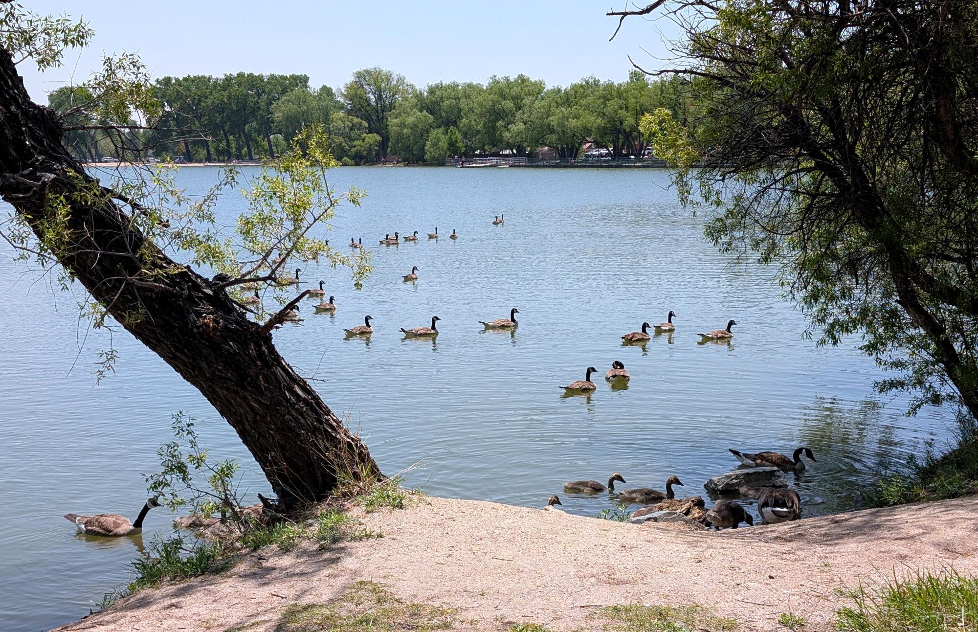 Cheyenne (2022-Present) - Sloan Lake