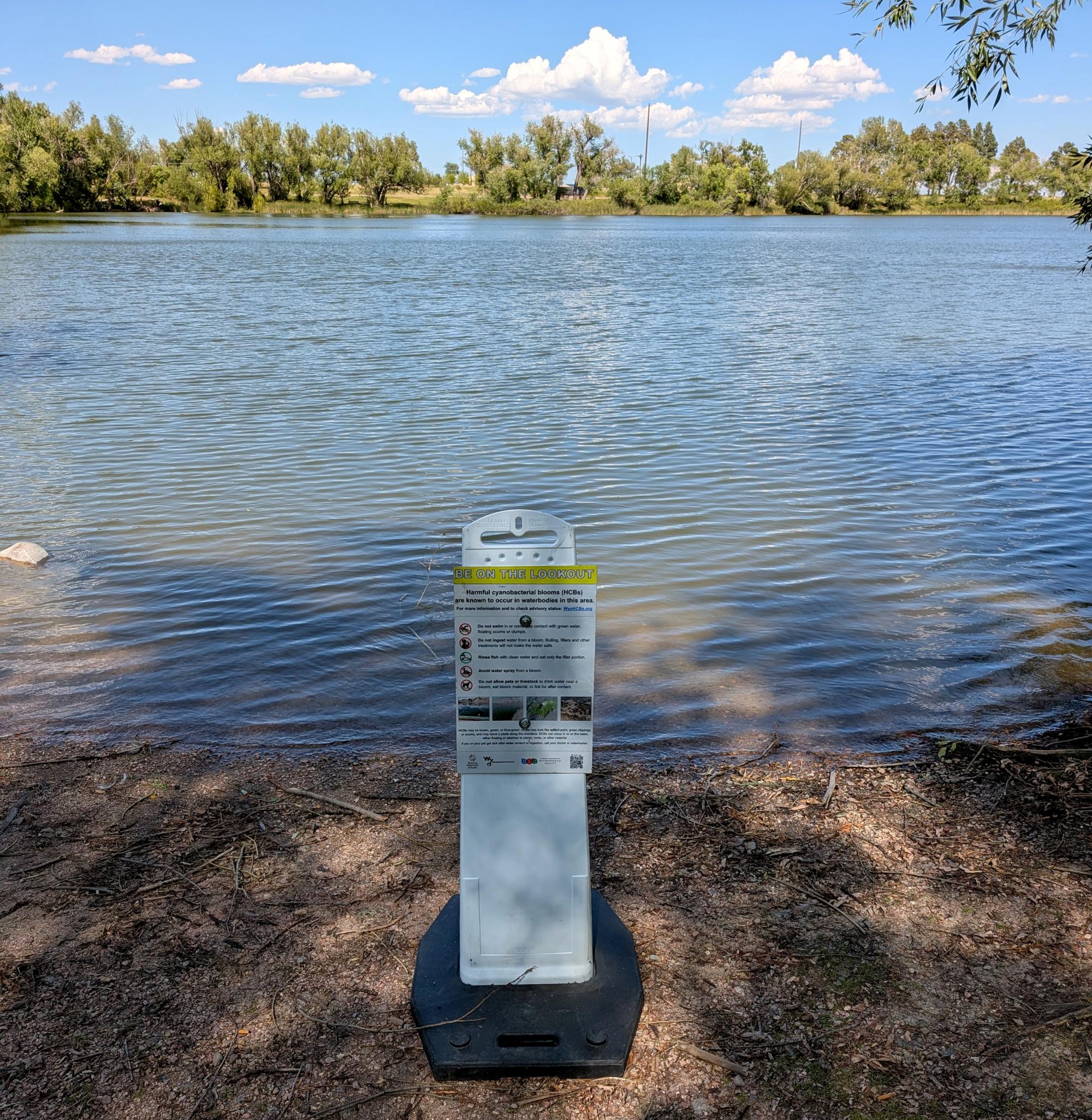 Cheyenne (2022-Present) - Cyan Bloom Warning