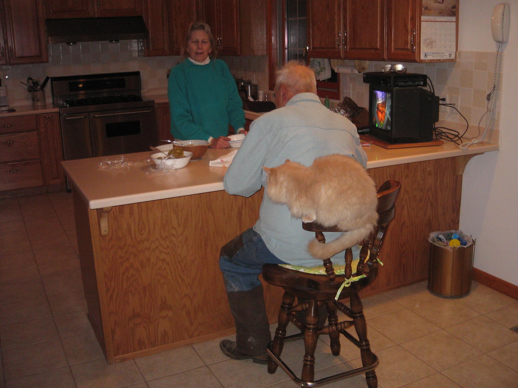 Holiday Ranch (2005-2014) - Fluffy The Cat