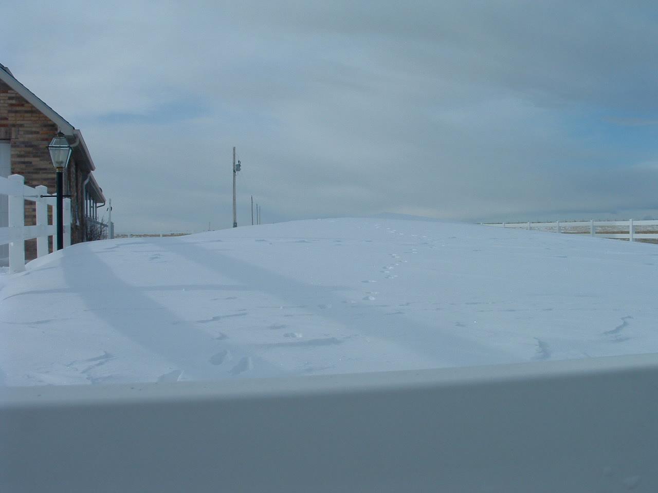 Holiday Ranch (2005-2014) - Blizzard At Holiday Ranch #2