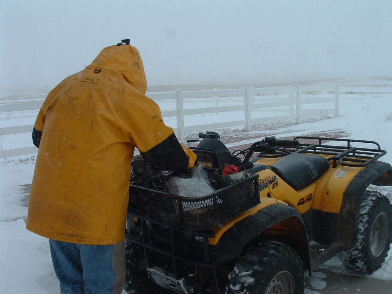 Holiday Ranch (2005-2014) - Louis Snowy Sunday #1