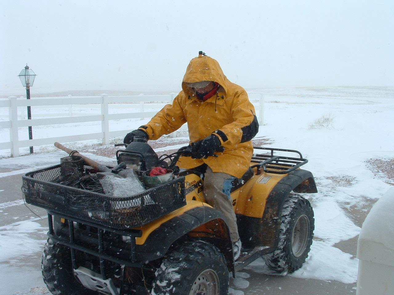 Holiday Ranch (2005-2014) - Louis Snowy Sunday #2