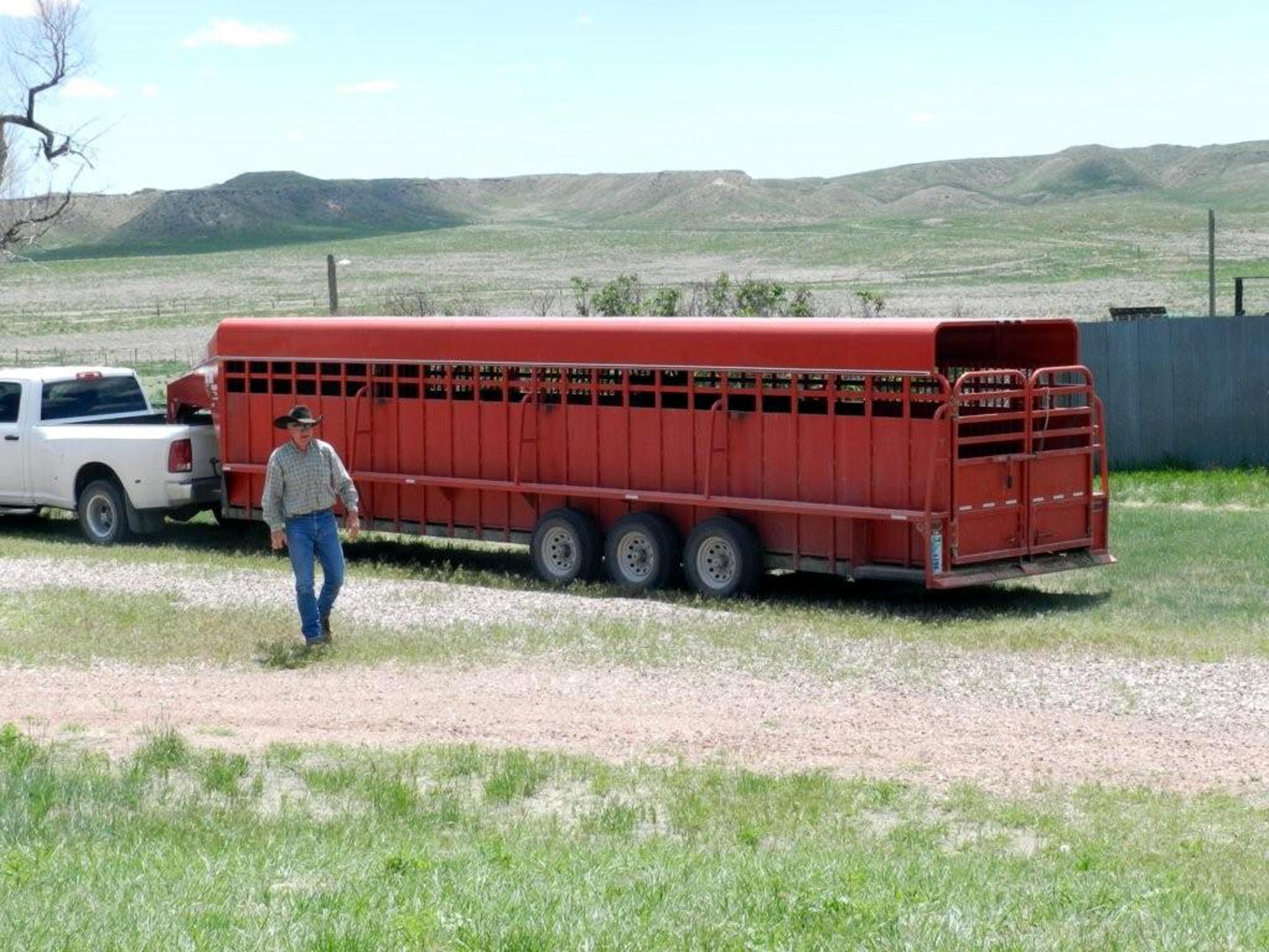 Holiday Ranch (2005-2014) - Cattle Arriving