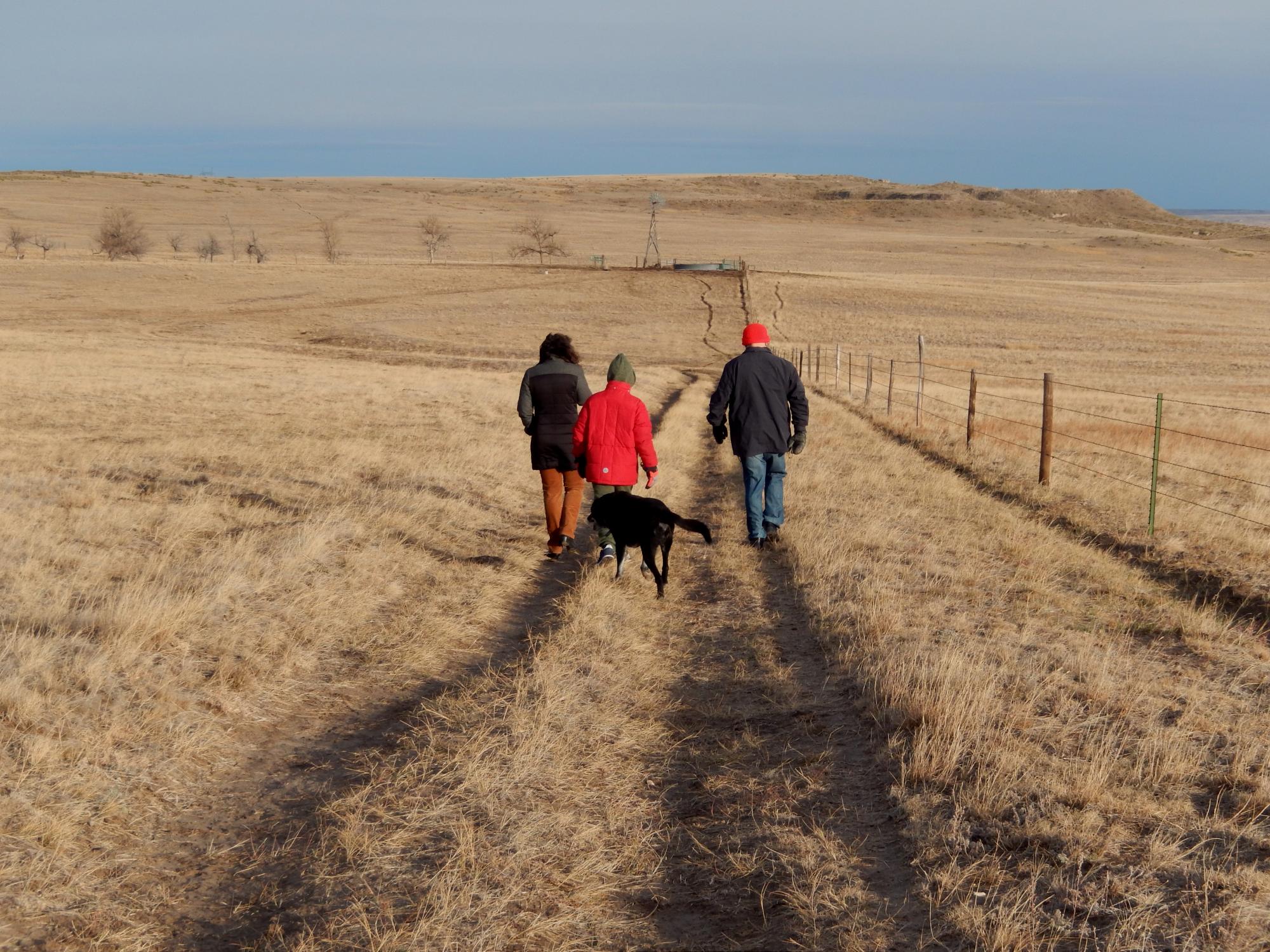Holiday Ranch (2015-2019) - Winter Walk #2