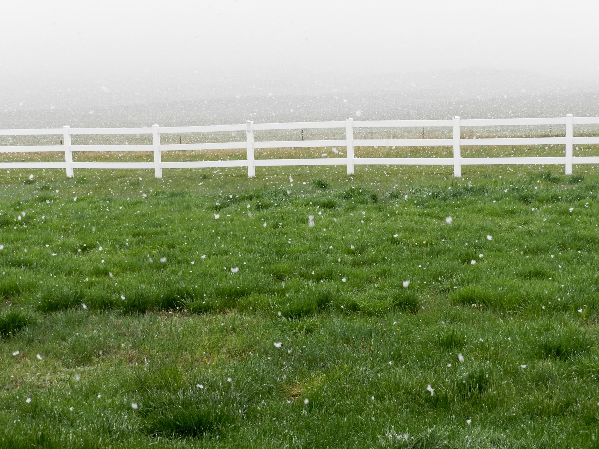 Holiday Ranch (2015-2019) - May Snow