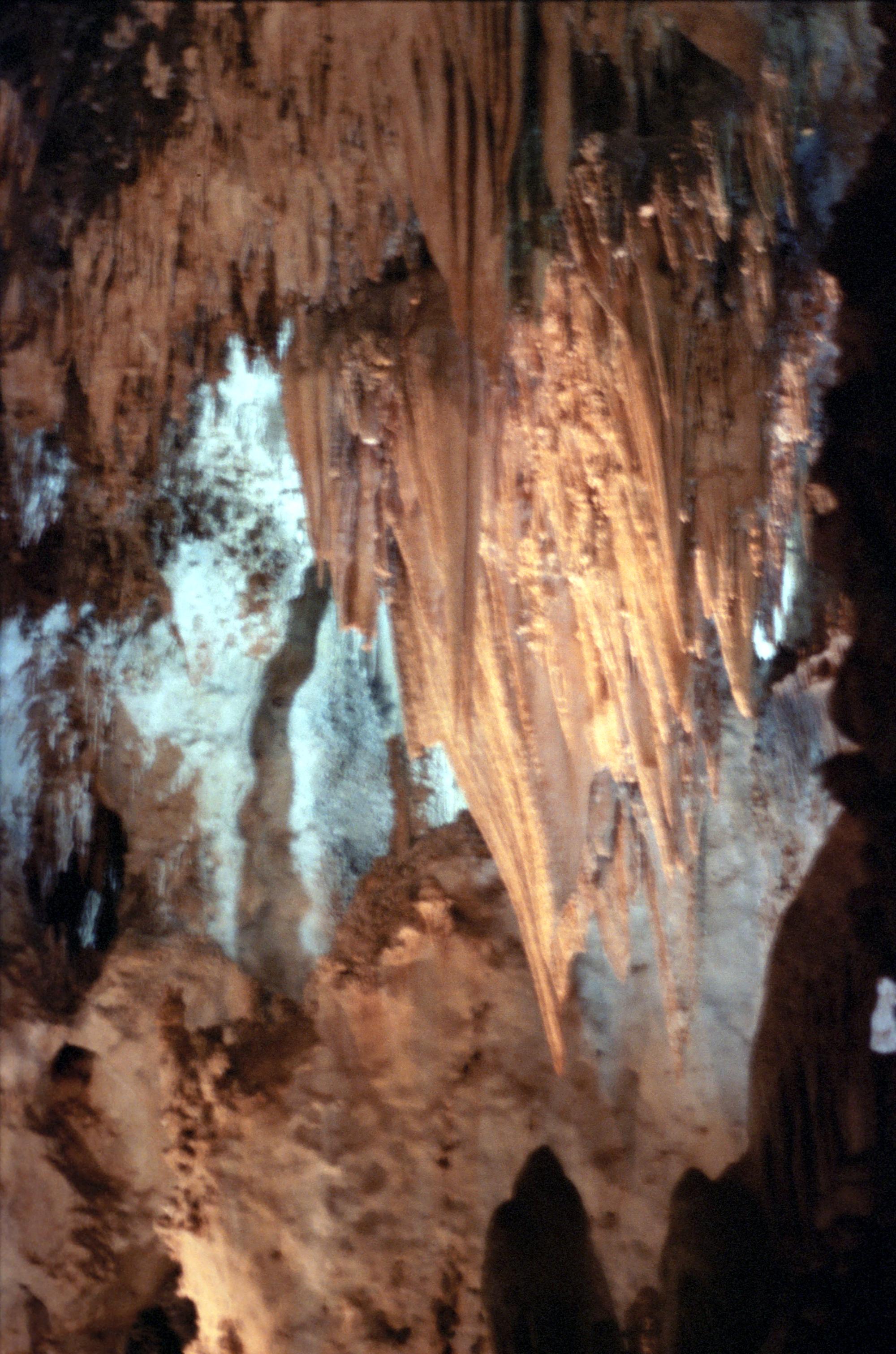 Western US - Carlsbad Caverns #2