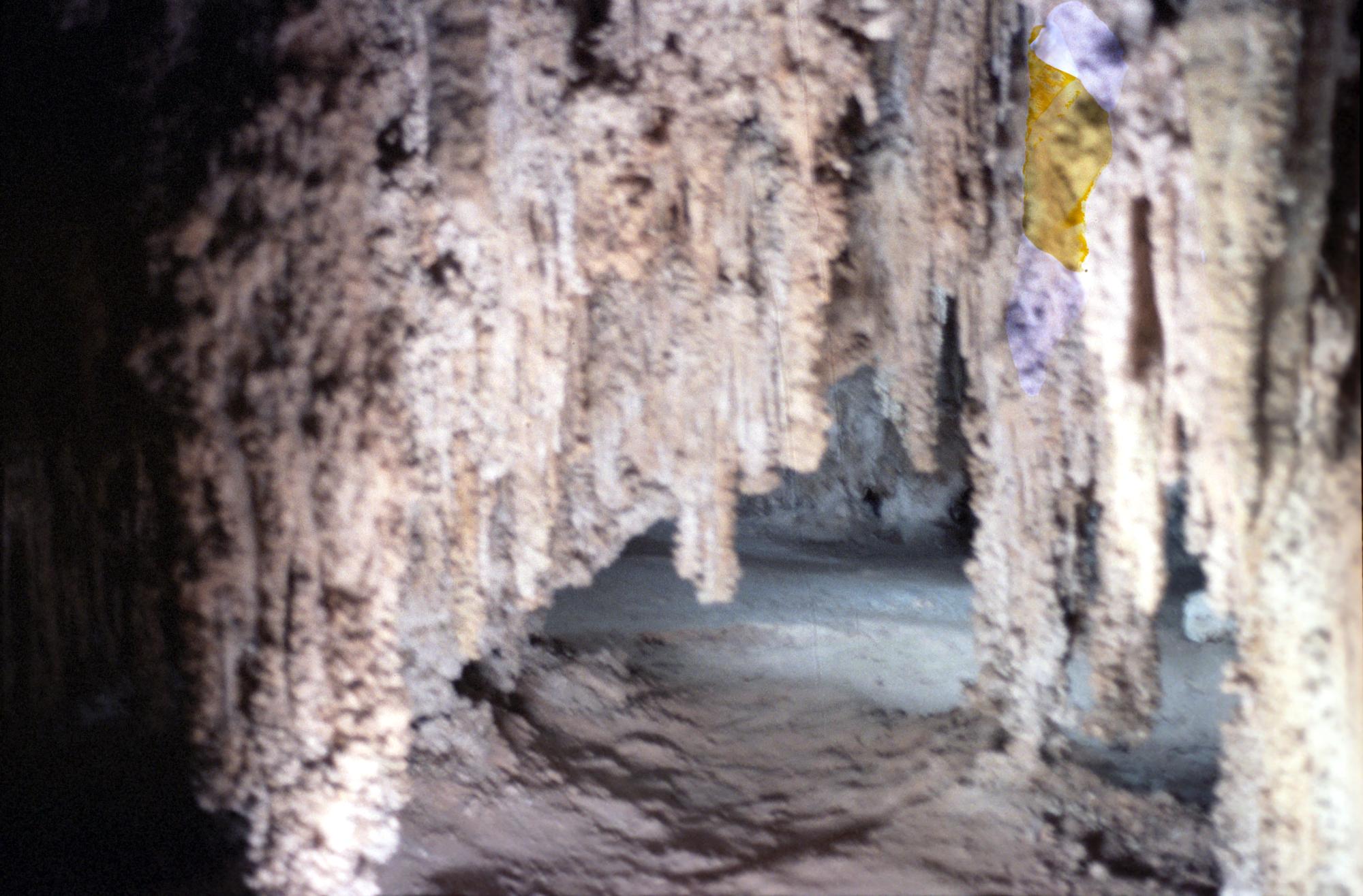 Western US - Carlsbad Caverns #4