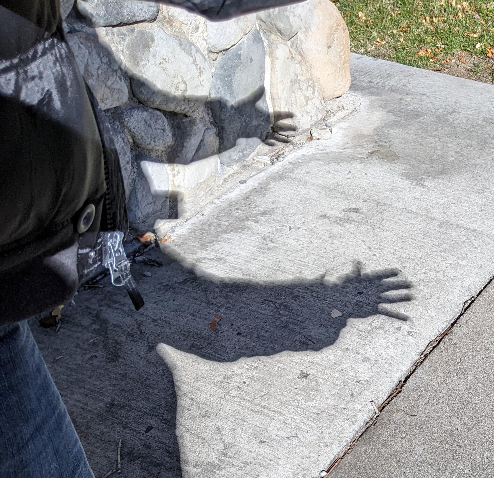 Western US - Beaver Eclipse Fuzzy Shadow