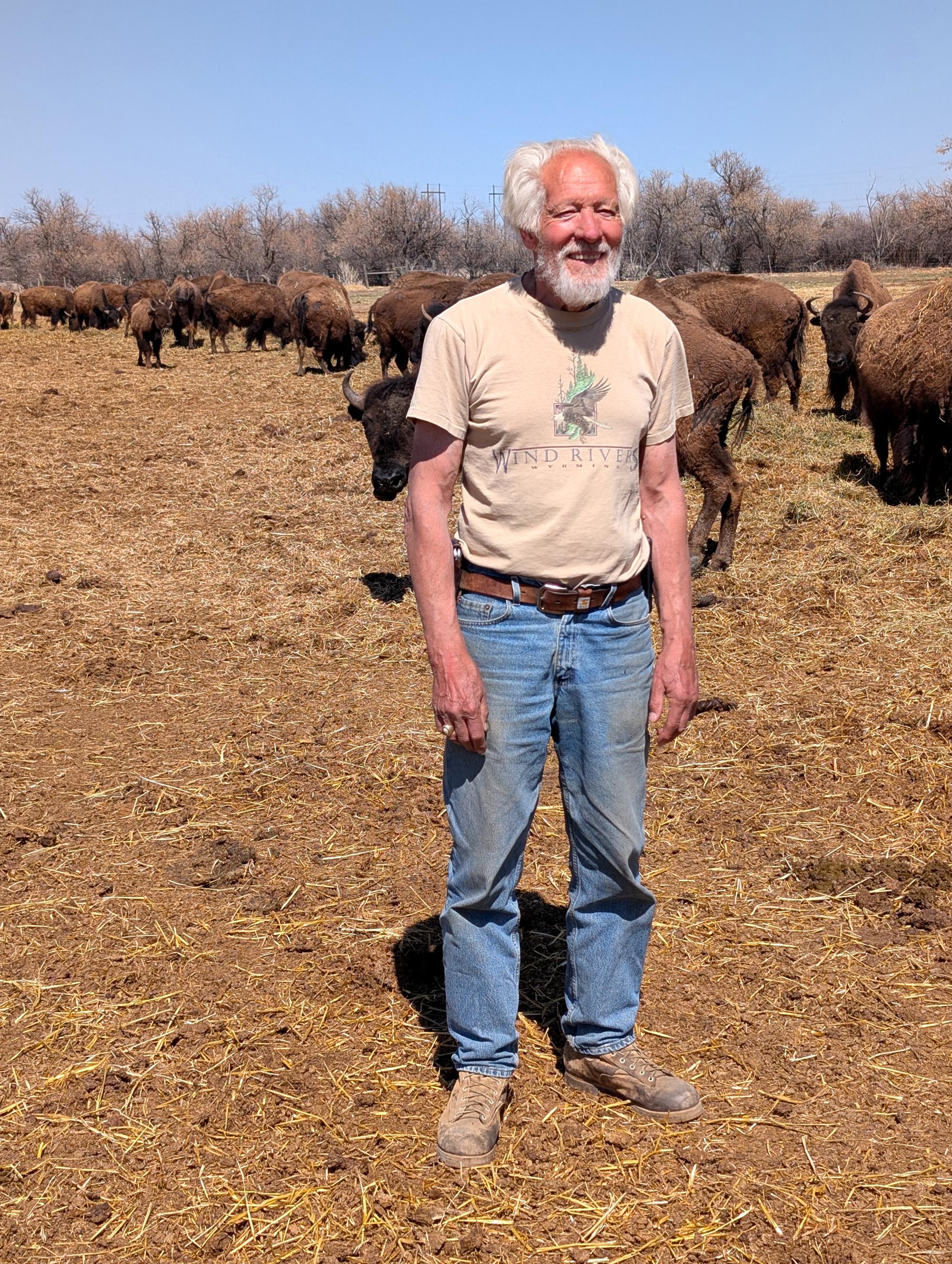 Western US - American Bison #06
