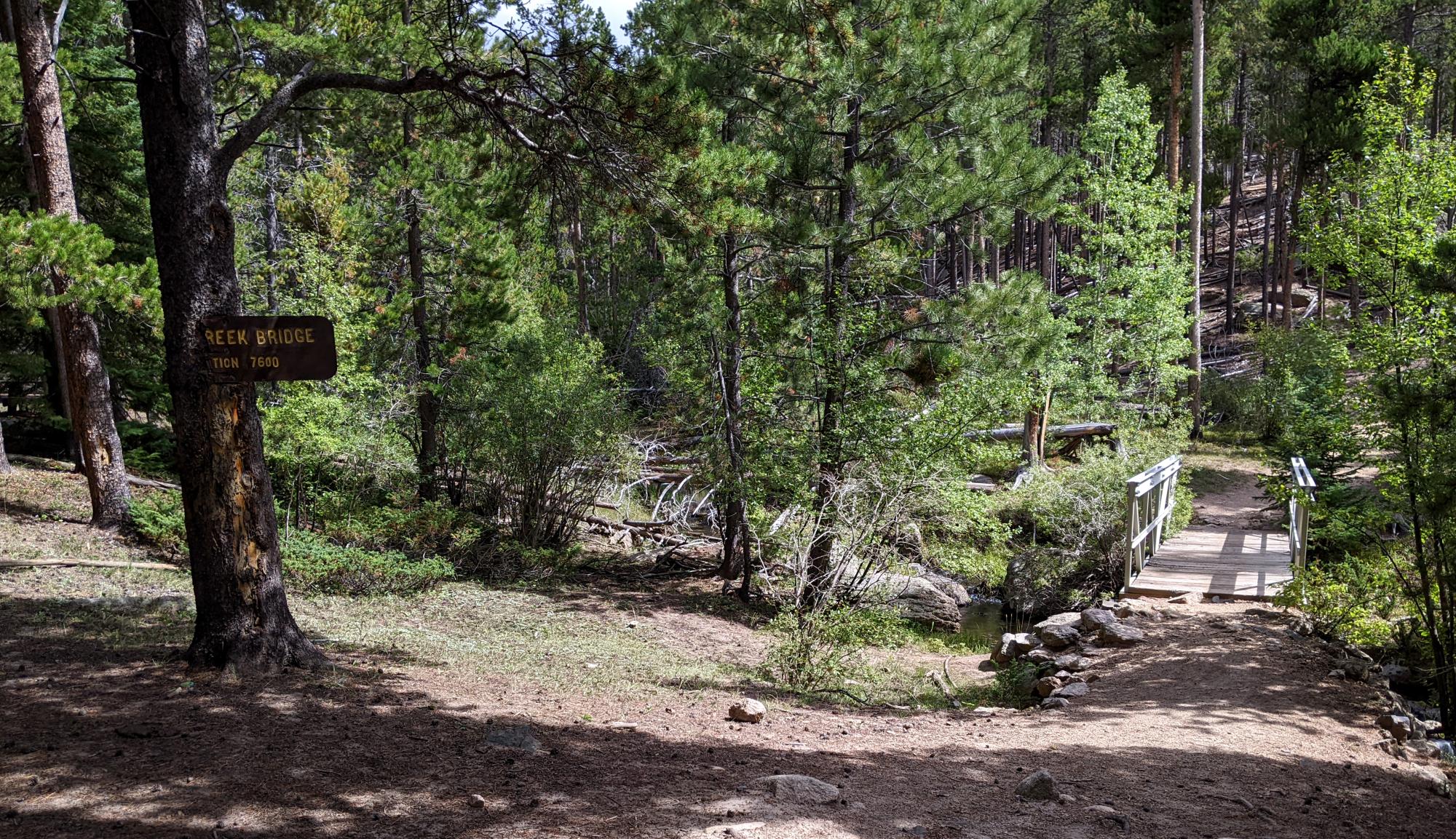 Wyoming (2023-Present) - LP Trail #1