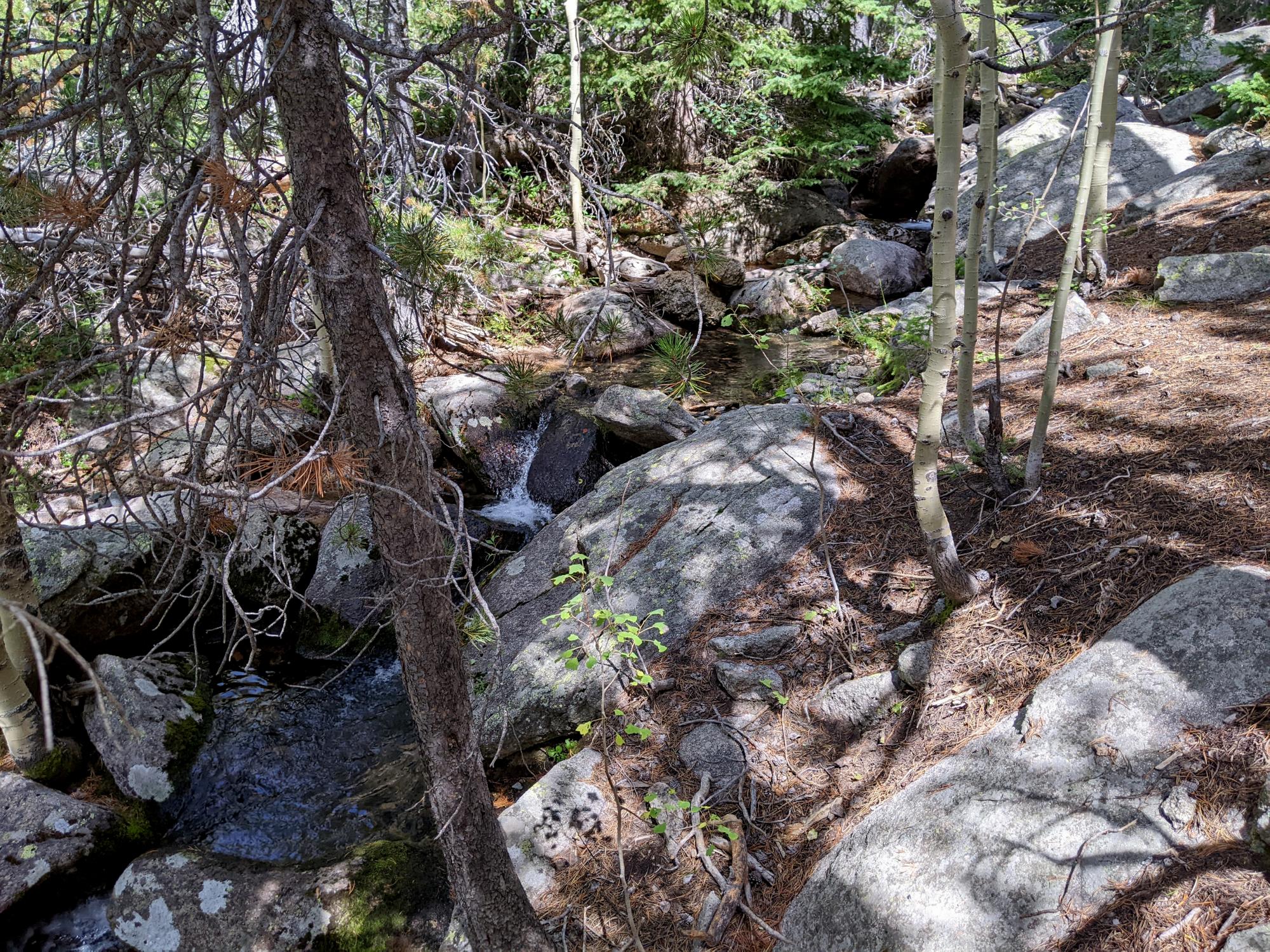 Wyoming (2023-Present) - LP Trail #4