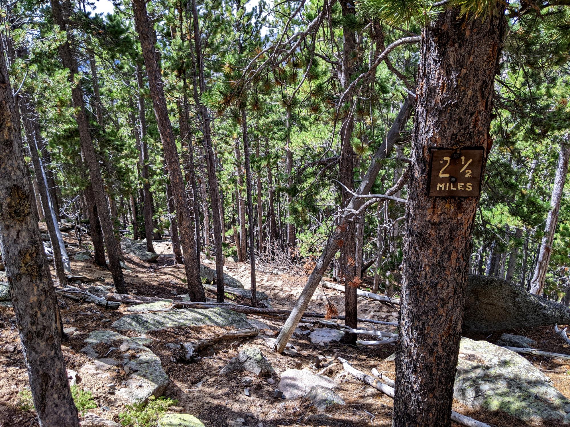 Wyoming (2023-Present) - LP Trail #5