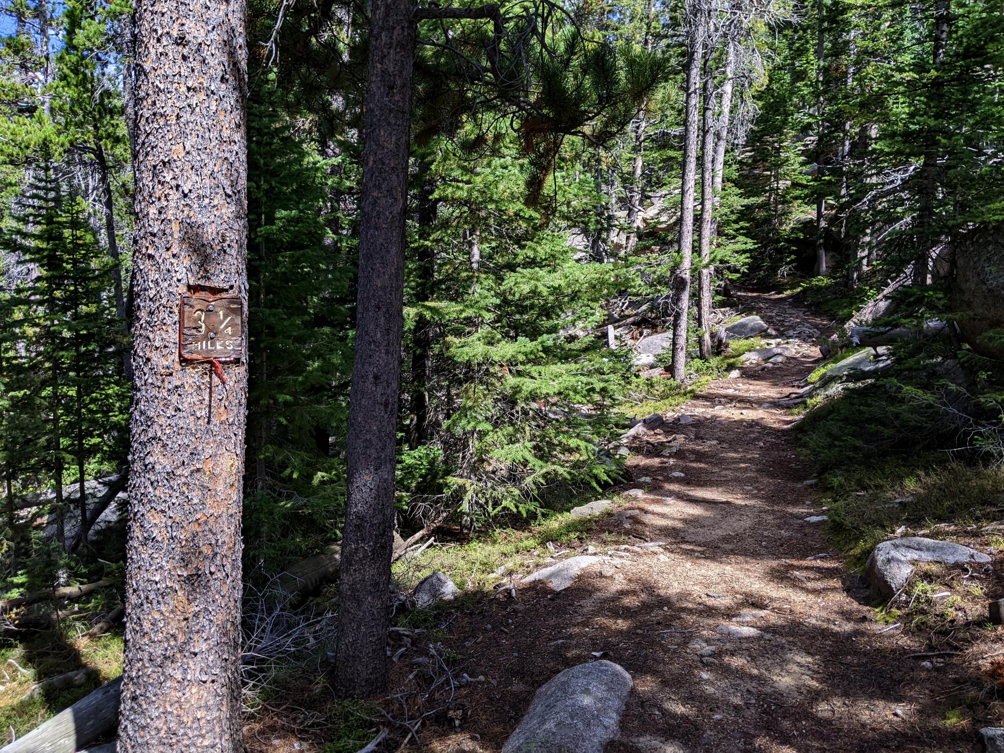 Wyoming (2023-Present) - LP Trail #6