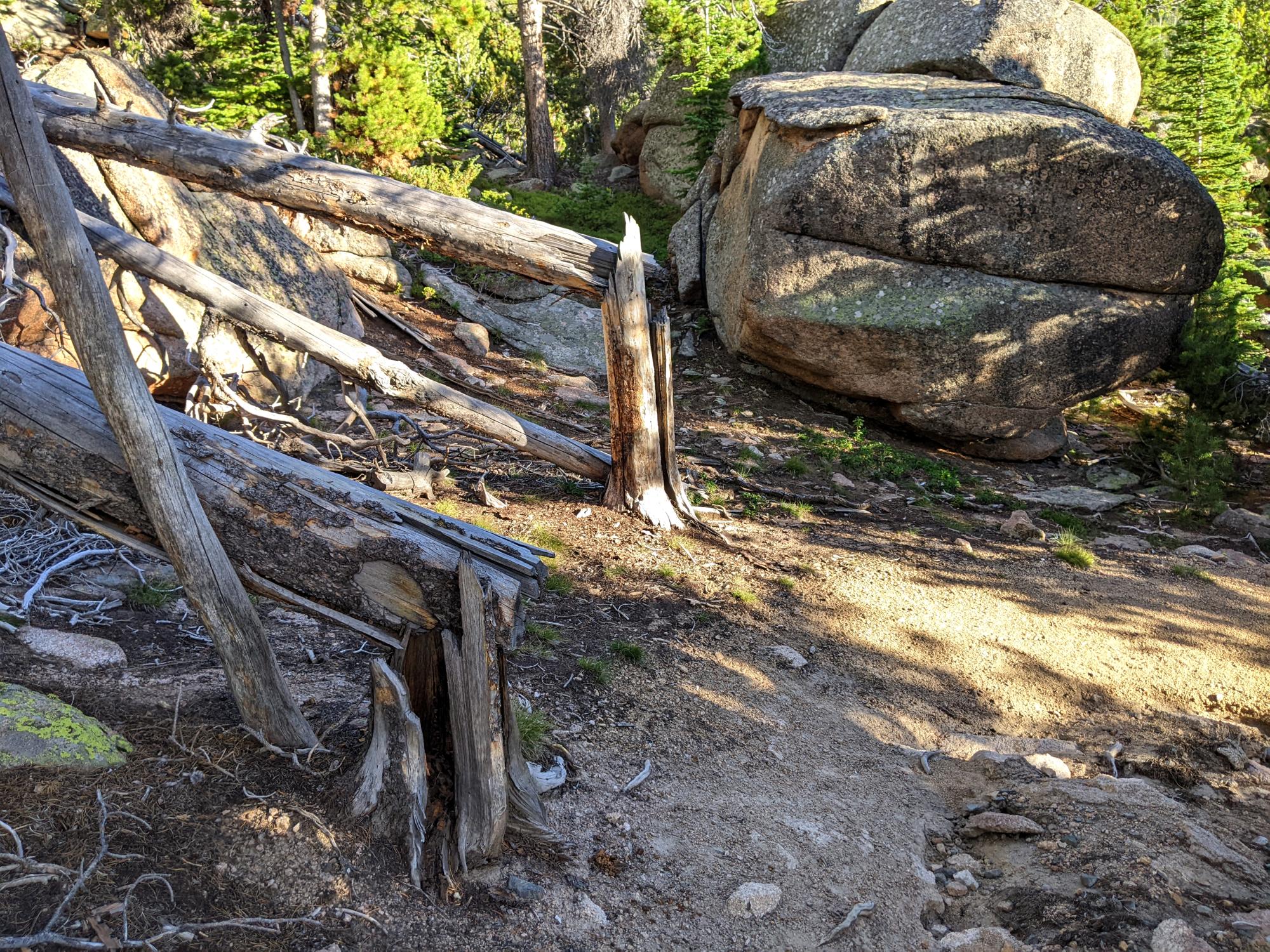 Wyoming (2023-Present) - LP Trail #7