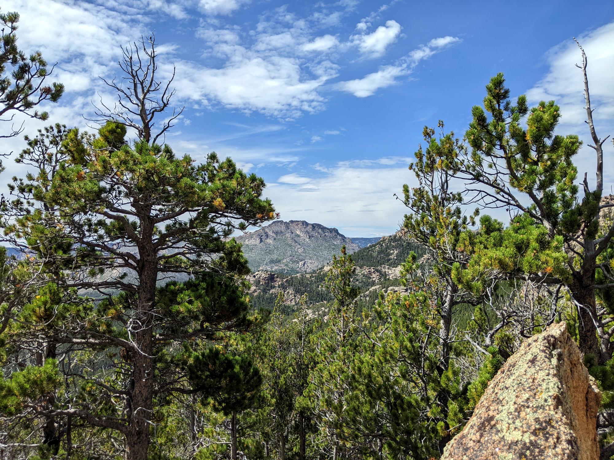 Wyoming (2023-Present) - LP Trail View #1
