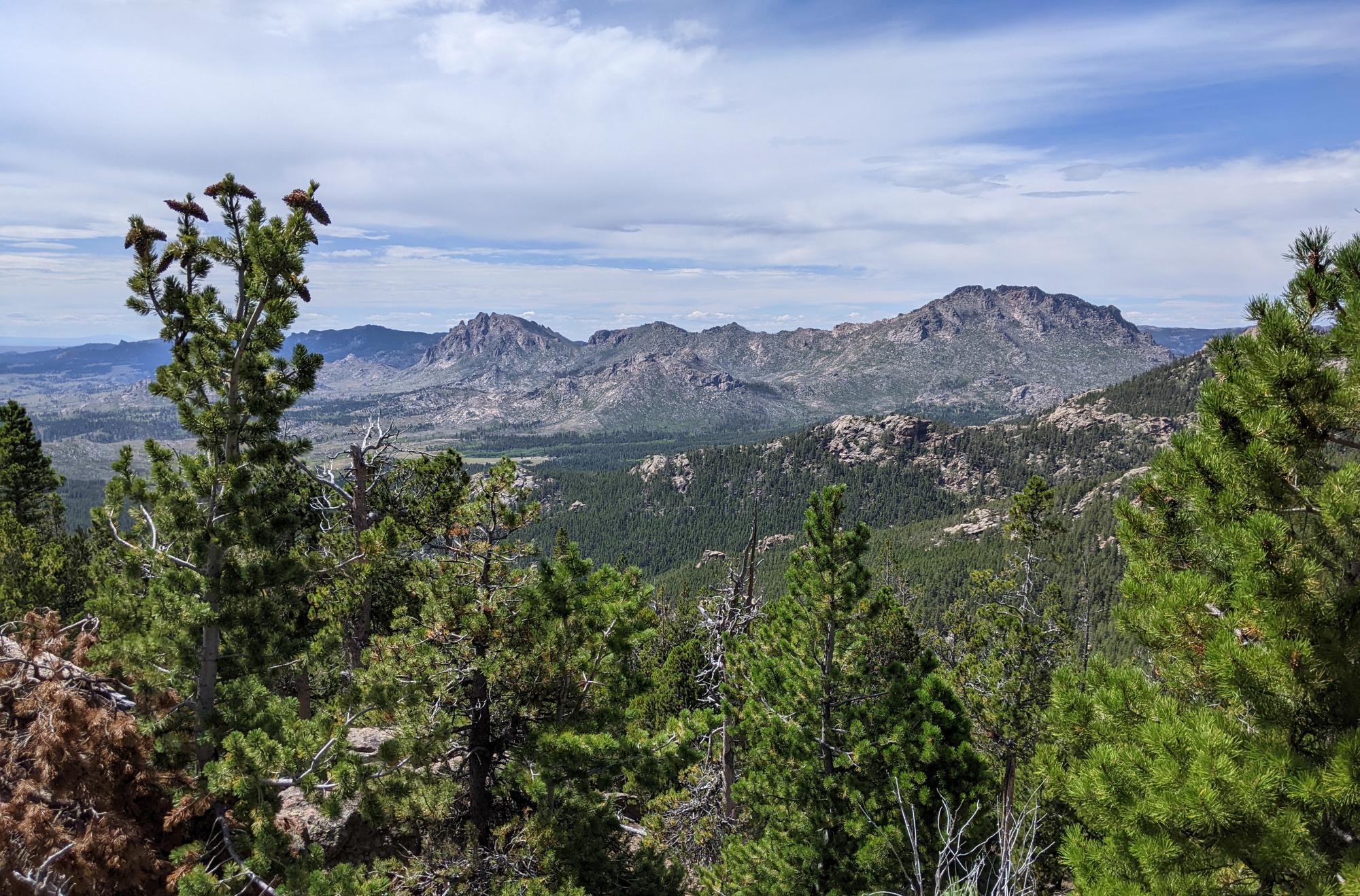 Wyoming (2023-Present) - LP Trail View #2
