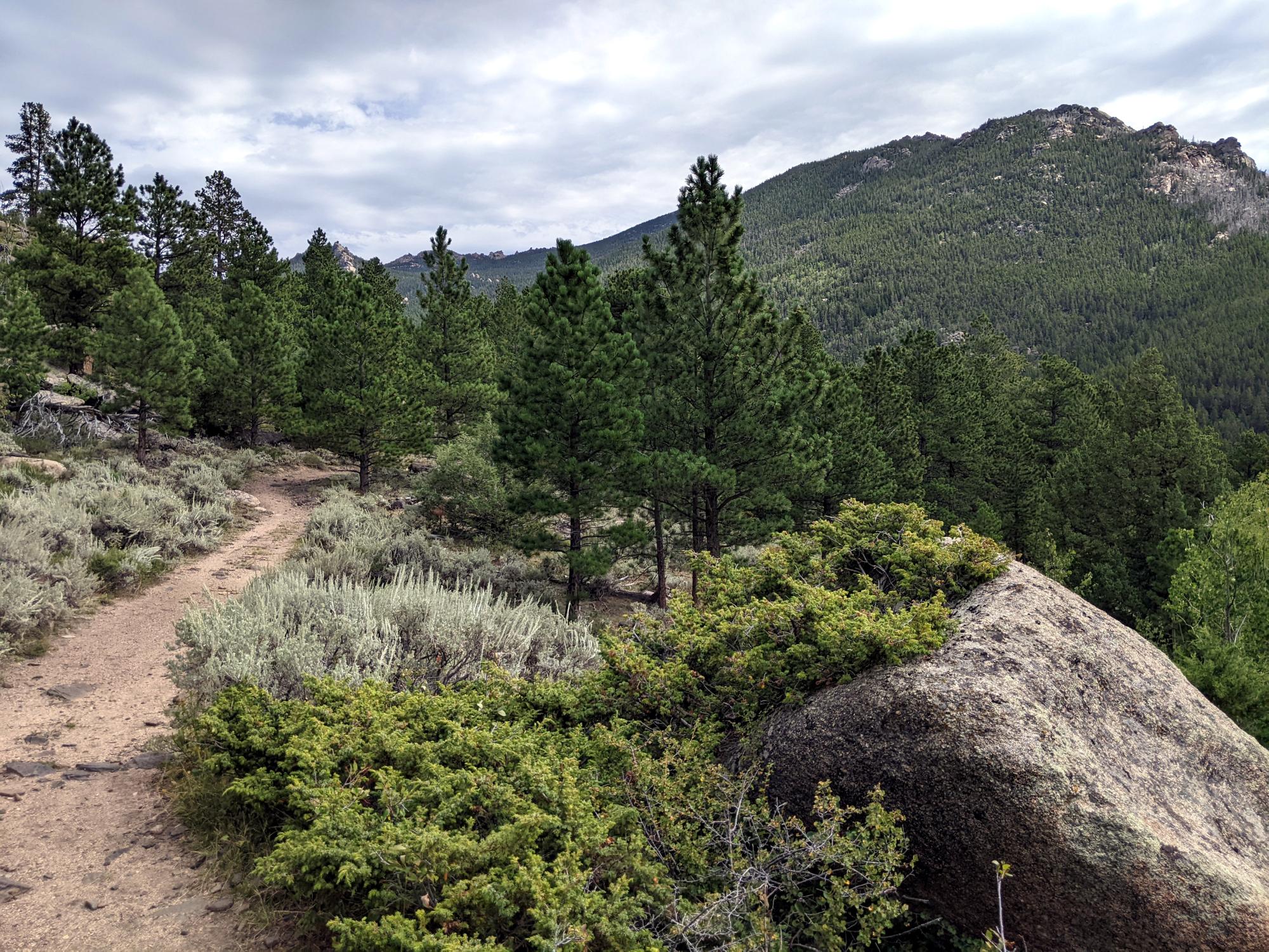 Wyoming (2023-Present) - LP West Side