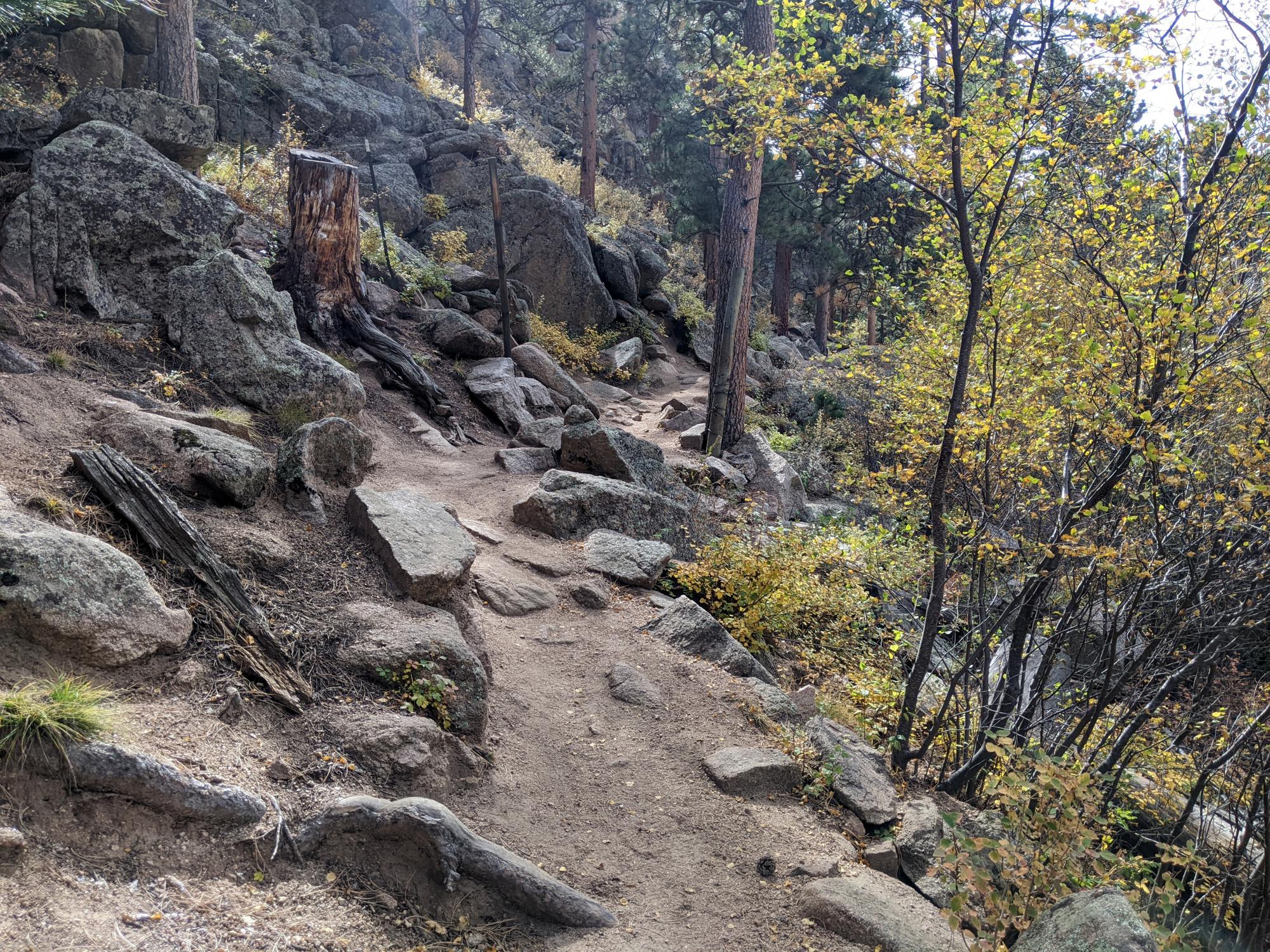 Wyoming (2023-Present) - Hidden Falls Hike #1