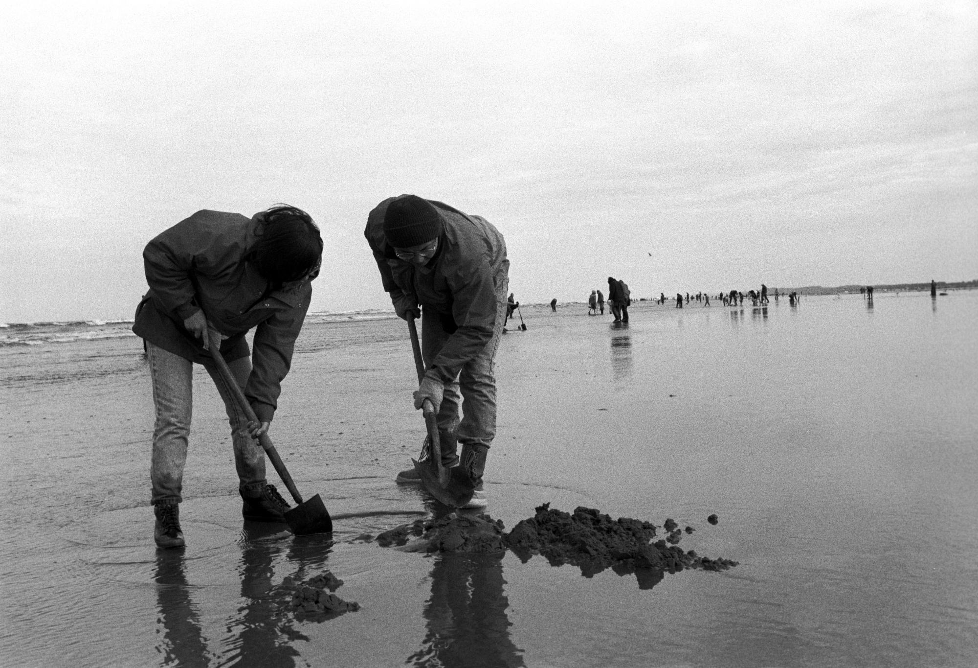 Washington State (Black & White) - Clam Hunters #3