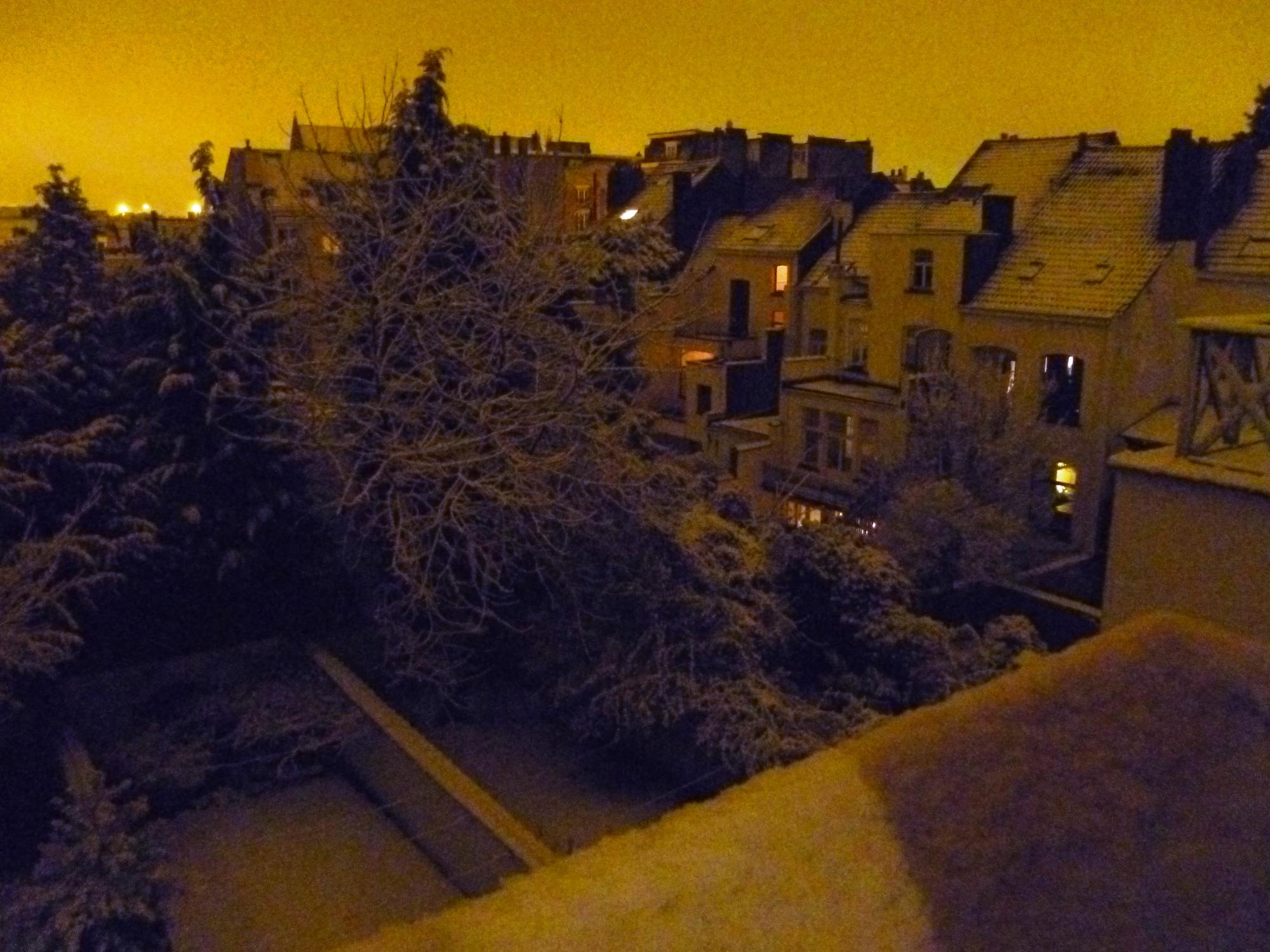 Brussels (2010-2016) - Snowy Brussels At Night