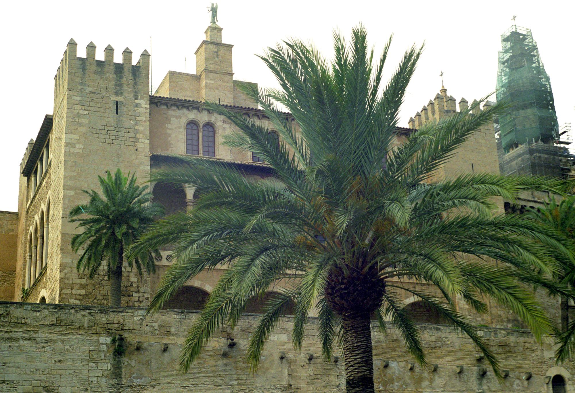 Spain (Ana) - Mallorca #15