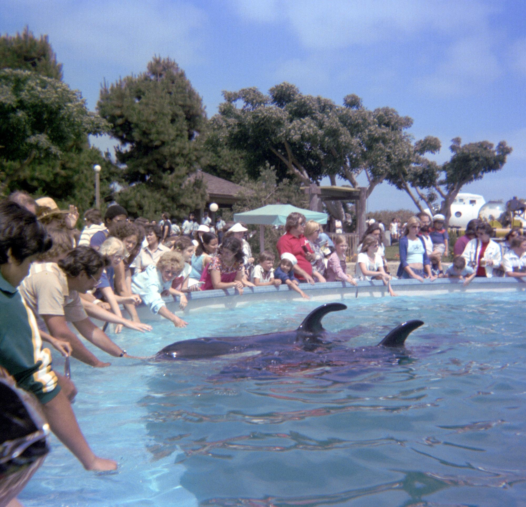 Disneyland - Sea World #16
