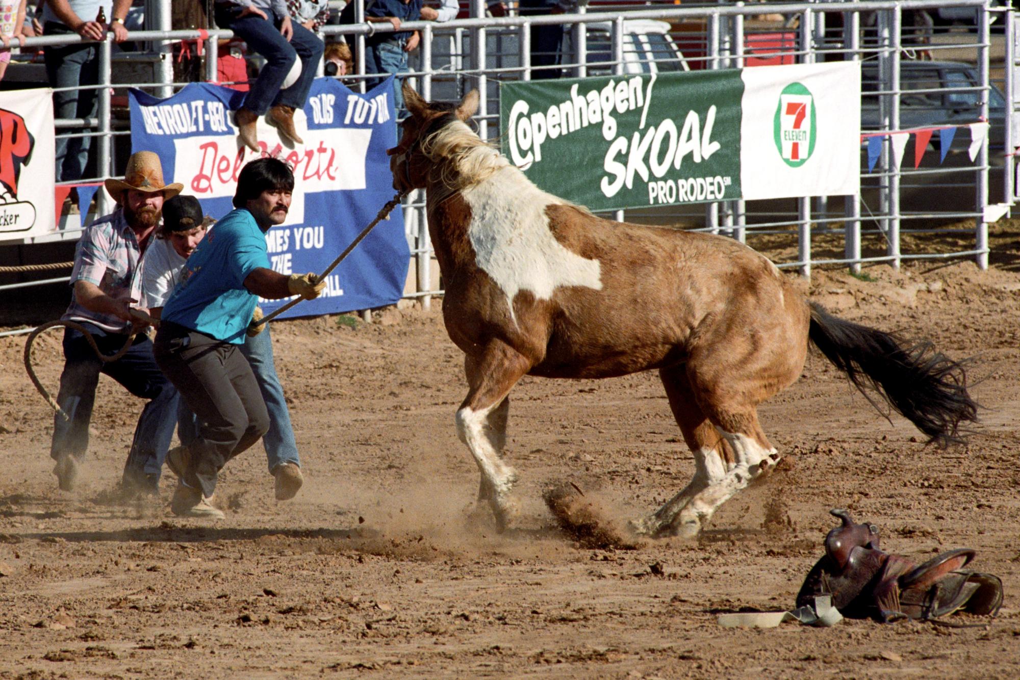 Imperial Valley Rodeo (1992) - Wild Horses #5