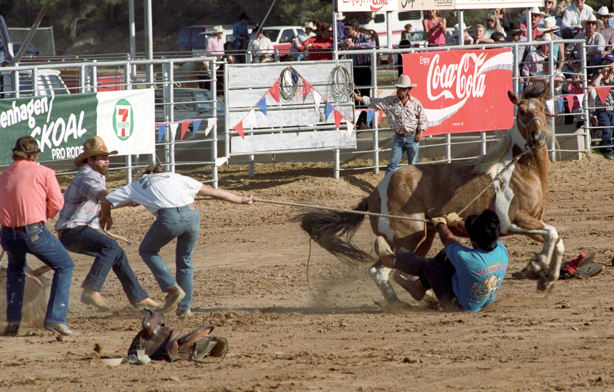 Imperial Valley Rodeo (1992) - Wild Horses #6