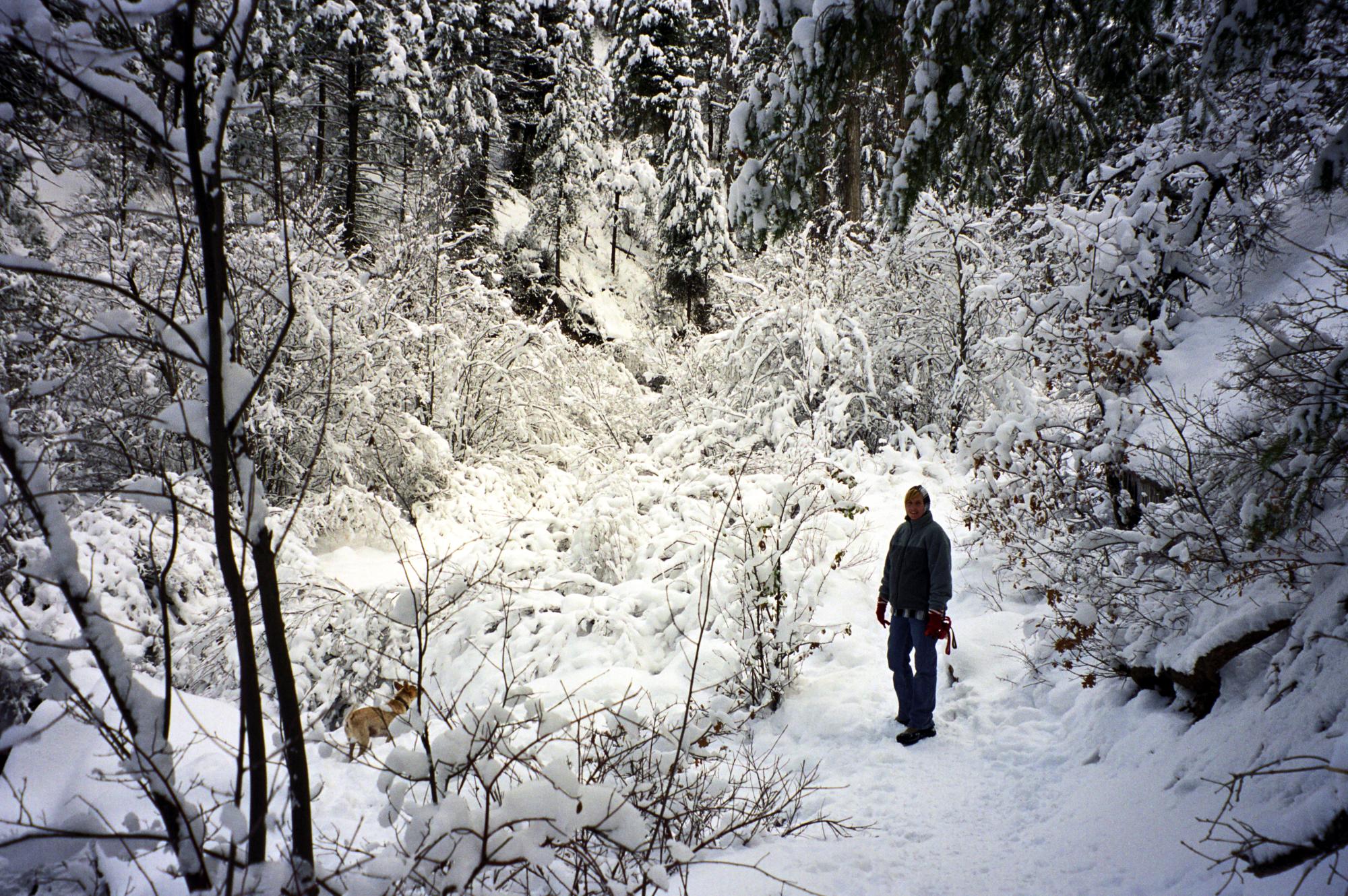 Colorado - Snowy Durango #3