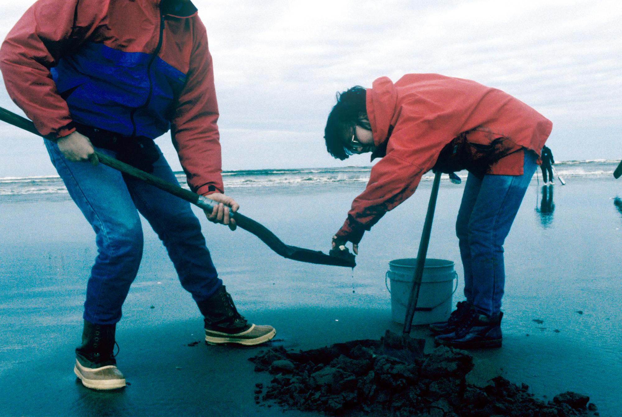 Olympic Peninsula - Clam Hunters #4