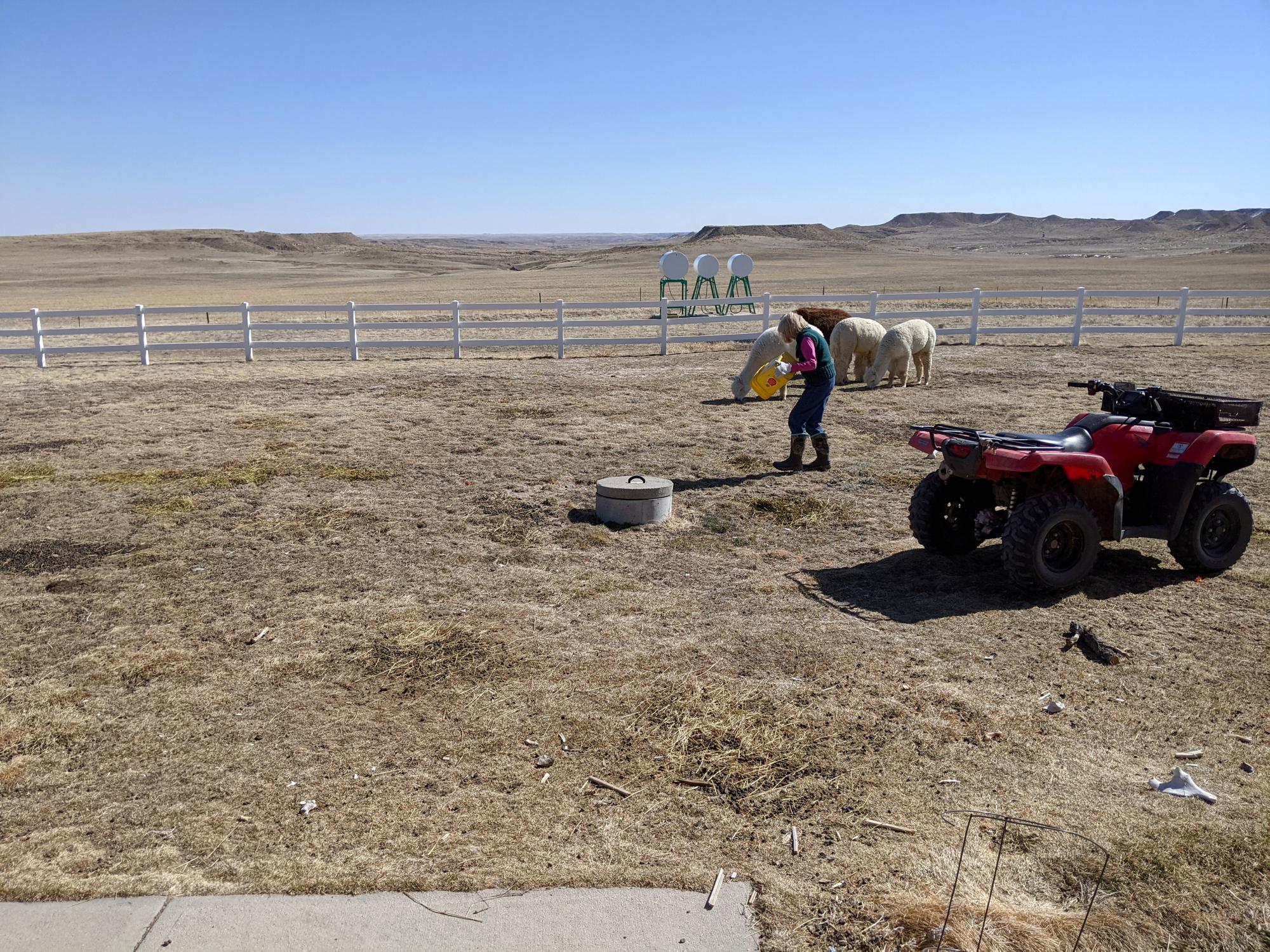 Holiday Ranch (2020-2021) - Barb At Work