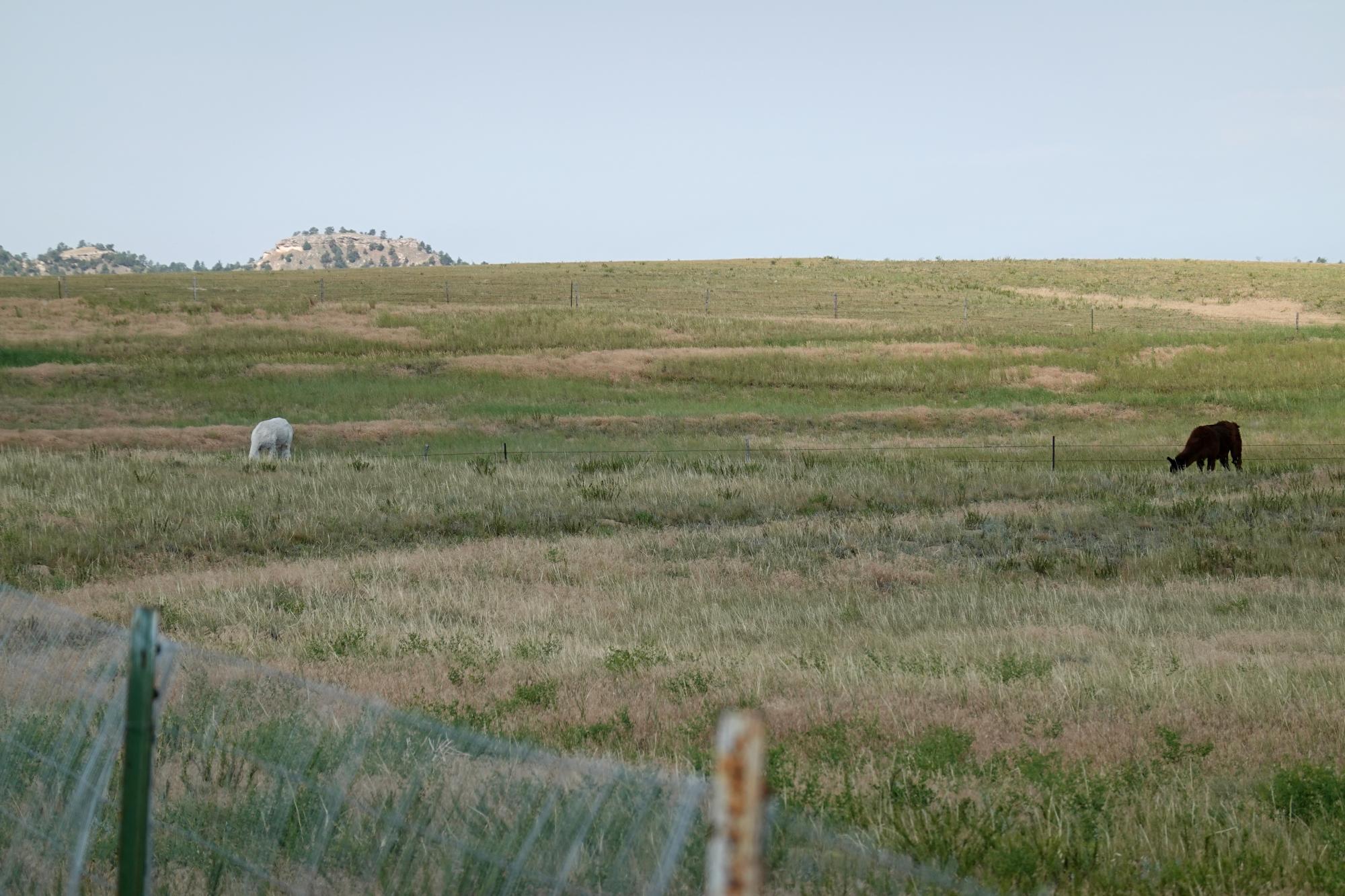 Holiday Ranch (2022-Present) - Looking Northwest #2